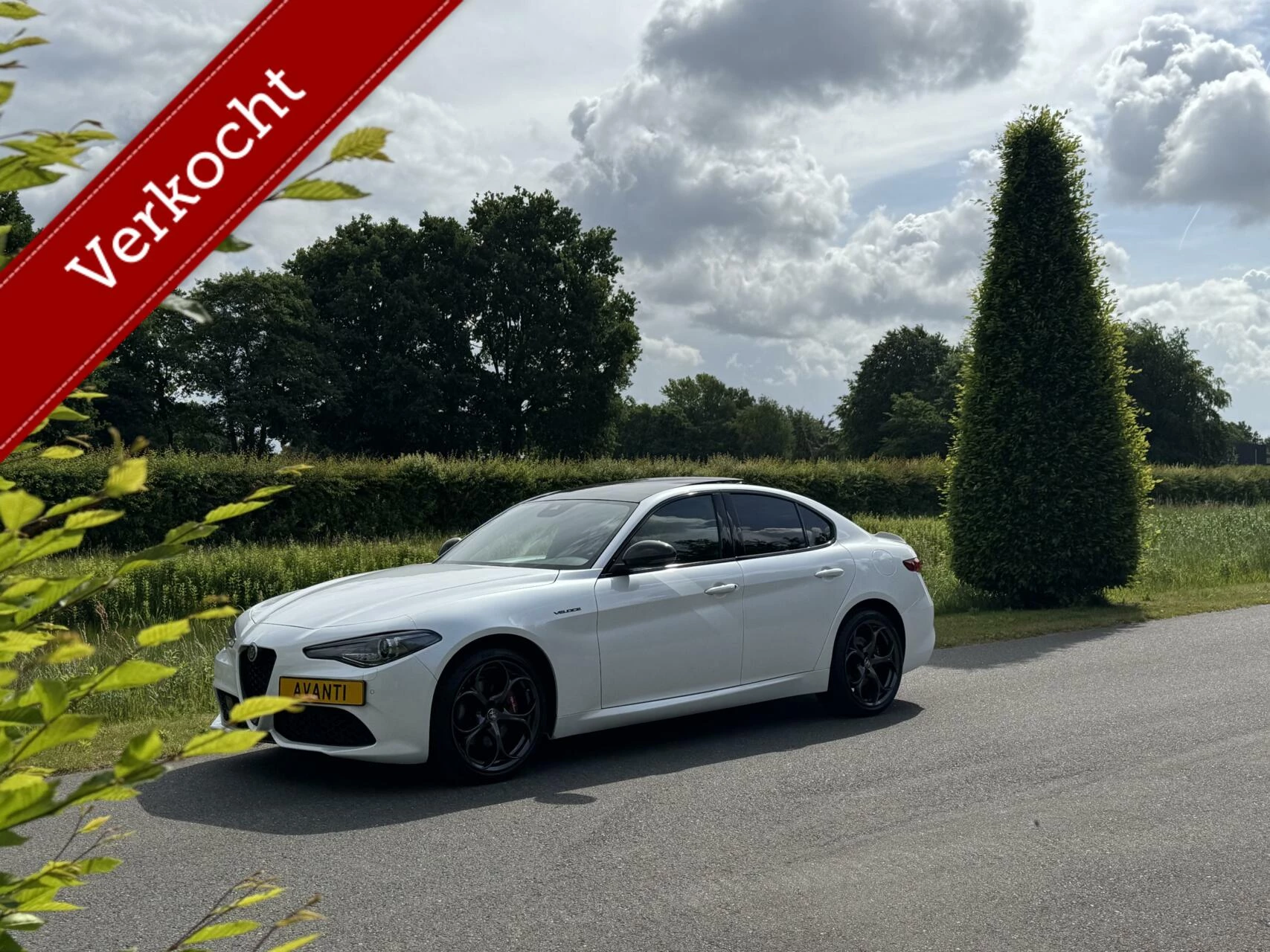 Hoofdafbeelding Alfa Romeo Giulia