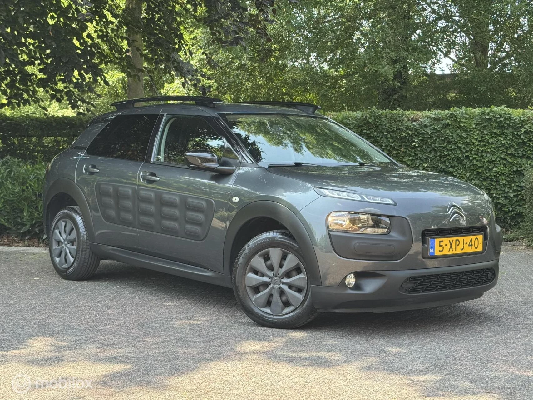 Hoofdafbeelding Citroën C4 Cactus