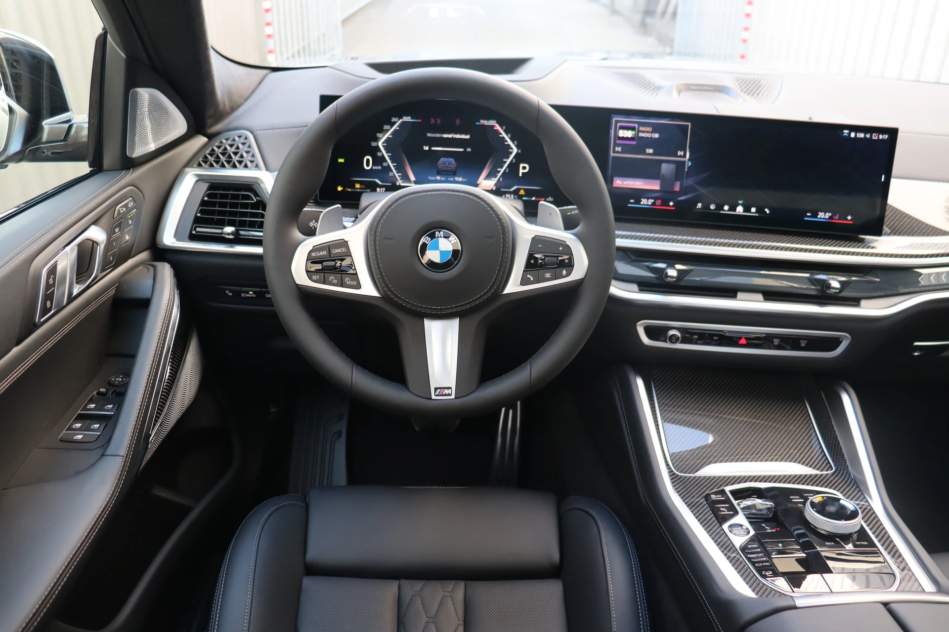 Hoofdafbeelding BMW X6