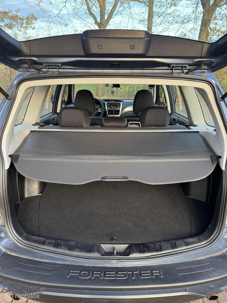 Hoofdafbeelding Subaru Forester