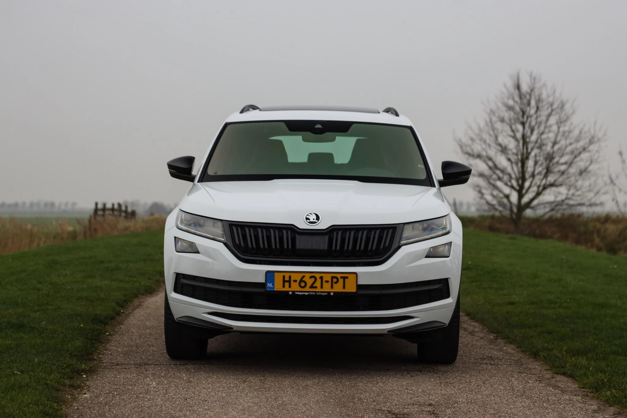 Hoofdafbeelding Škoda Kodiaq