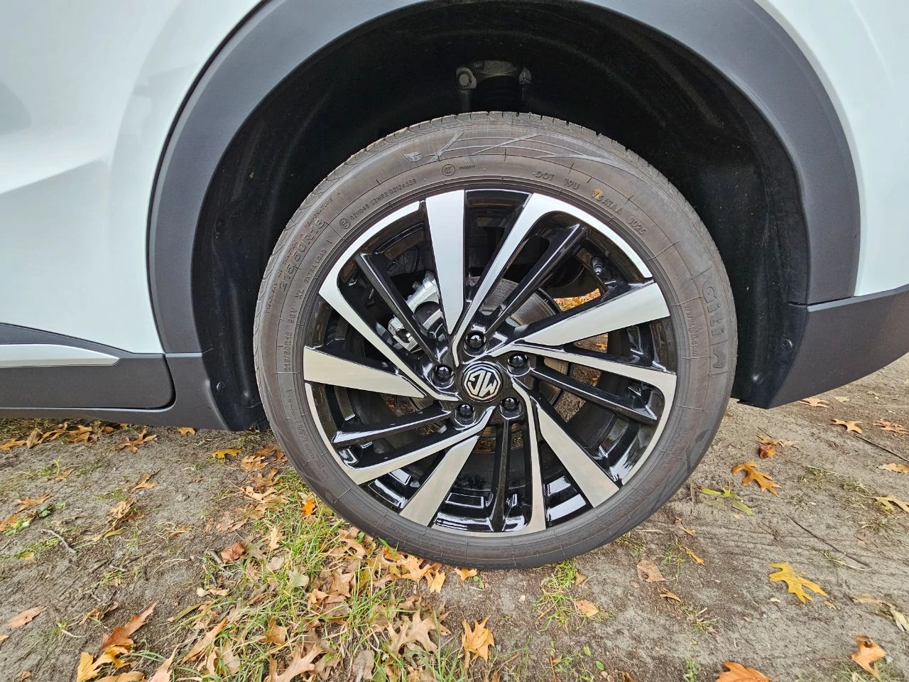 Hoofdafbeelding MG ZS