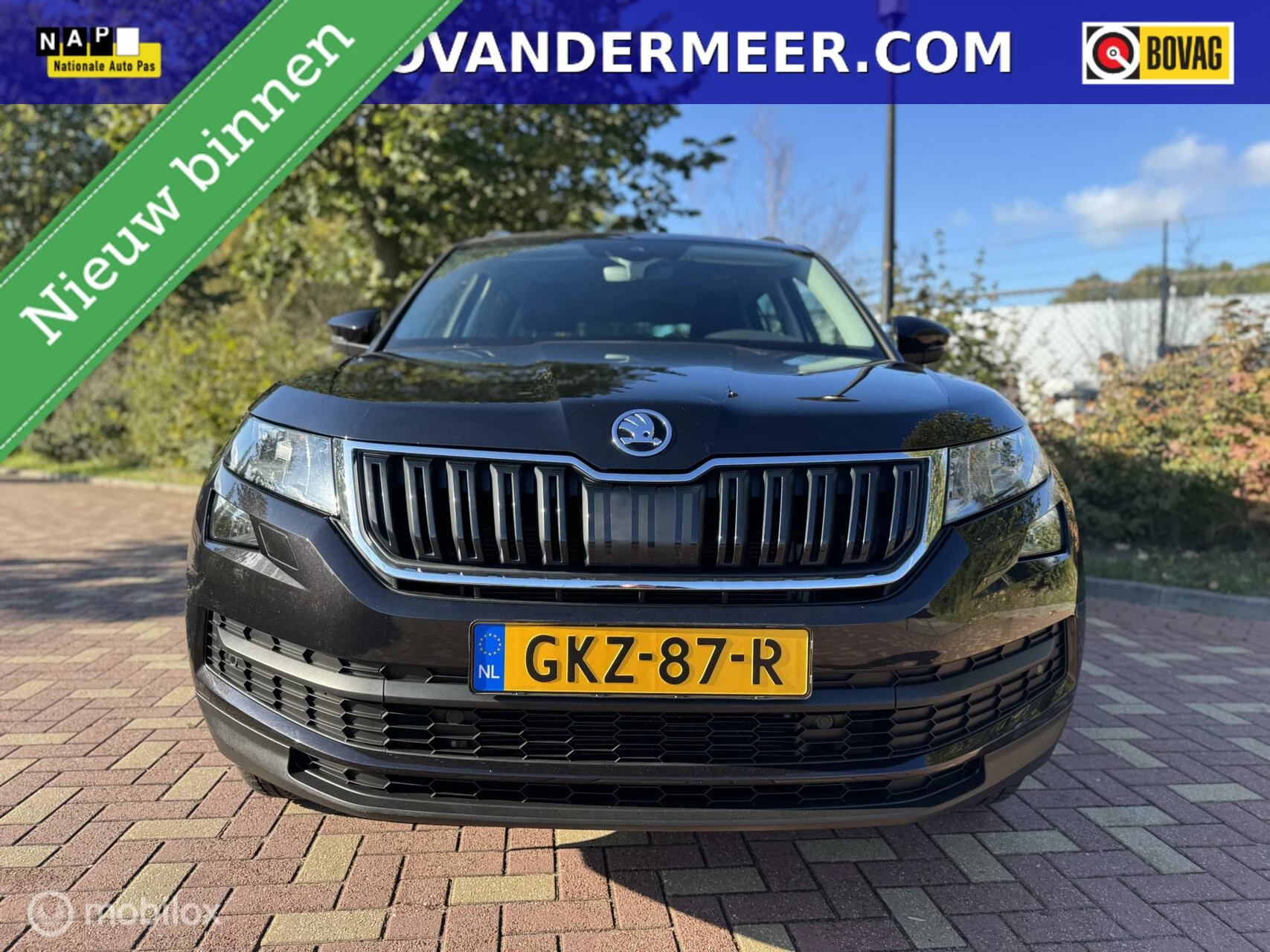 Hoofdafbeelding Škoda Kodiaq