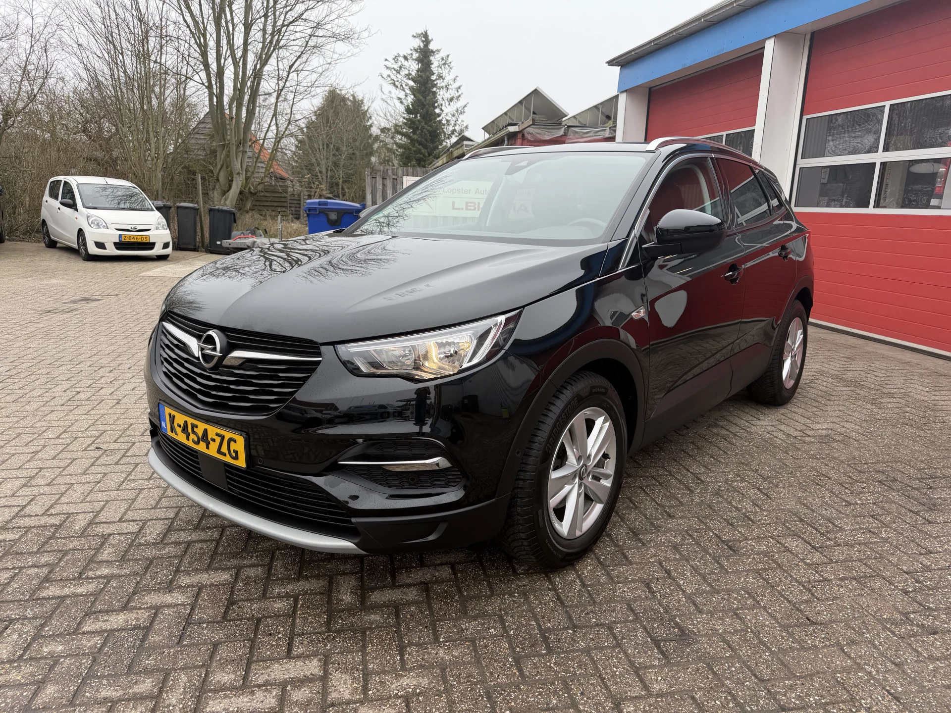 Hoofdafbeelding Opel Grandland X