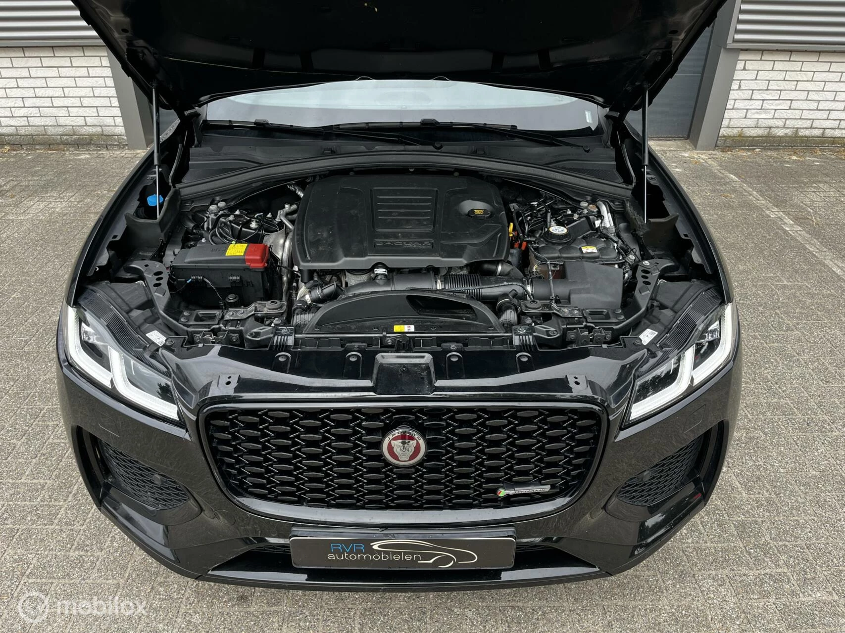 Hoofdafbeelding Jaguar F-PACE