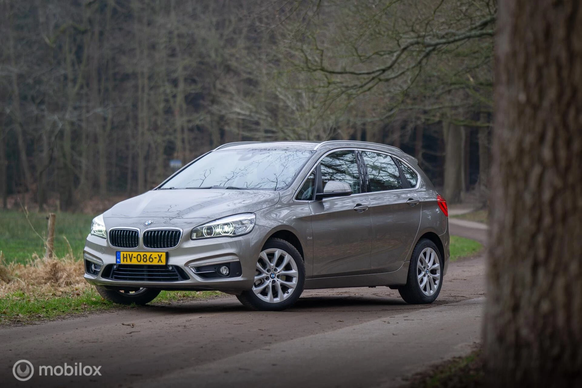 Hoofdafbeelding BMW 2 Serie