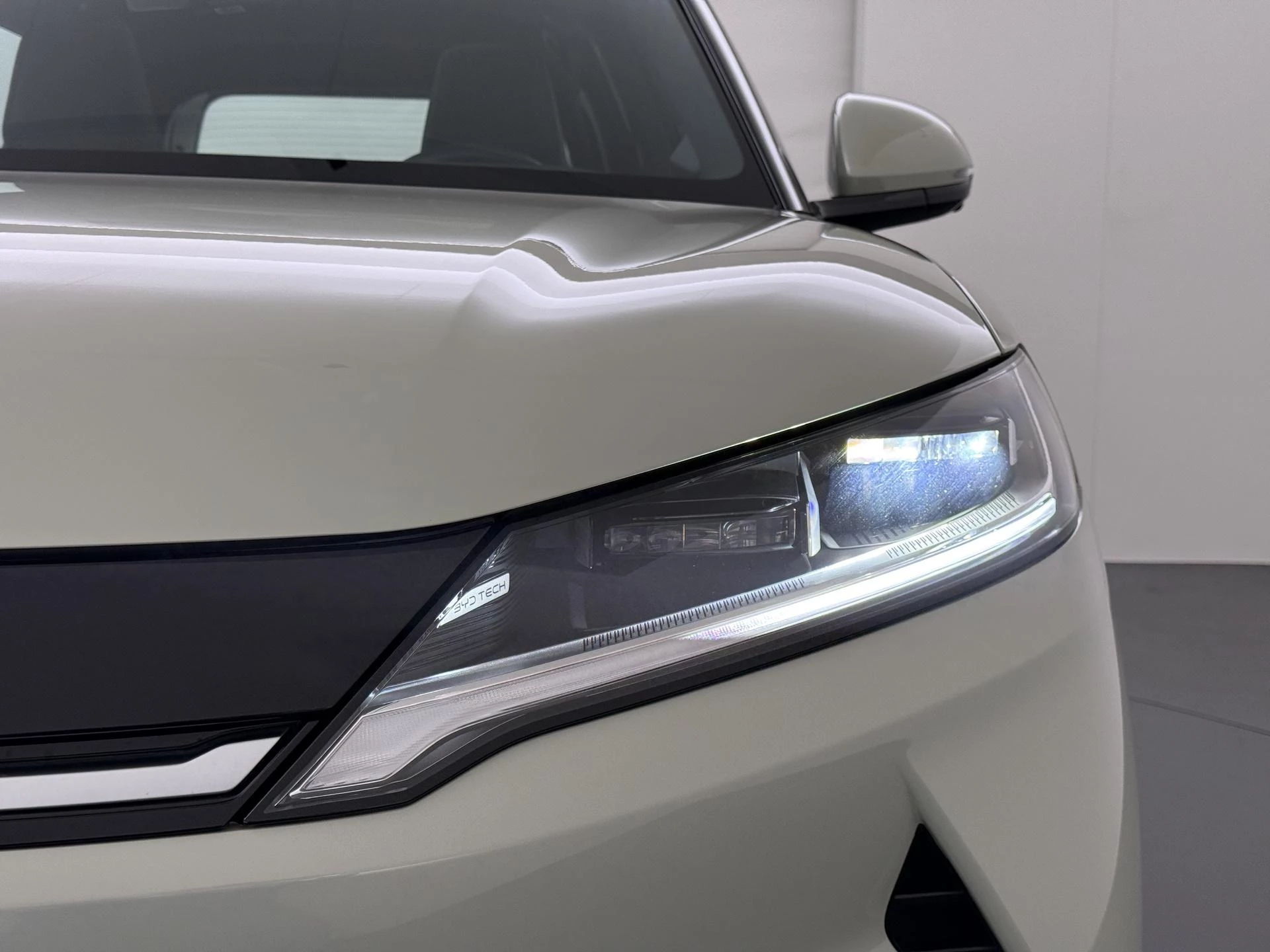 Hoofdafbeelding BYD ATTO 2