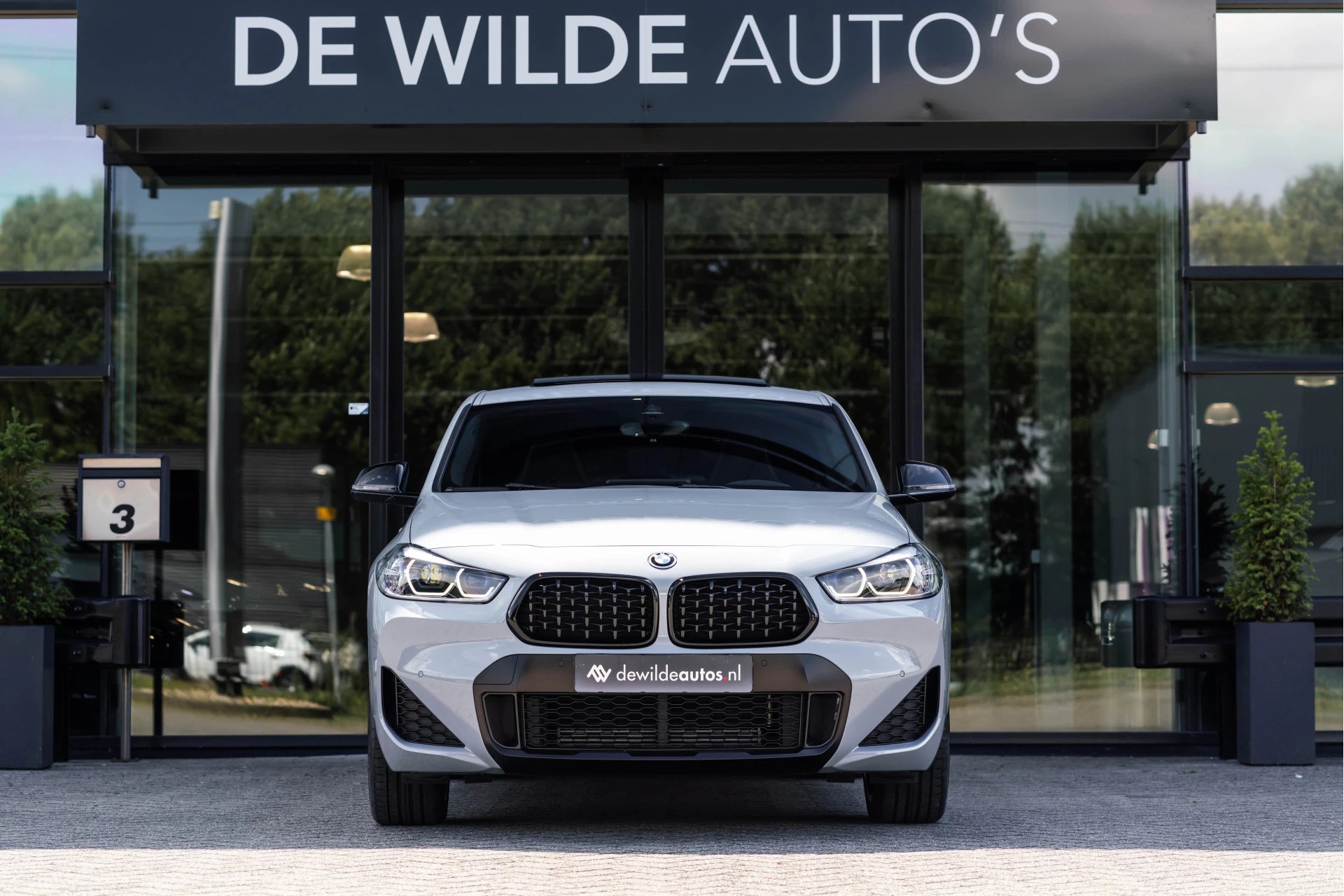 Hoofdafbeelding BMW X2