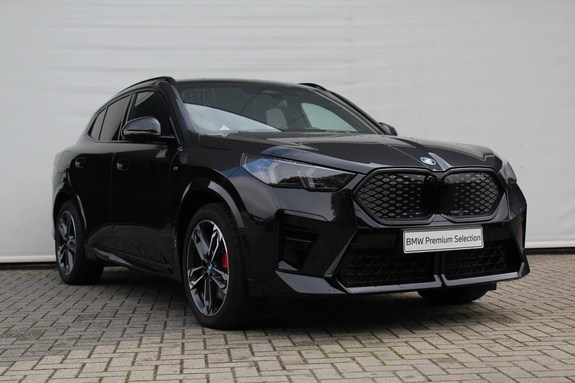 Hoofdafbeelding BMW iX2