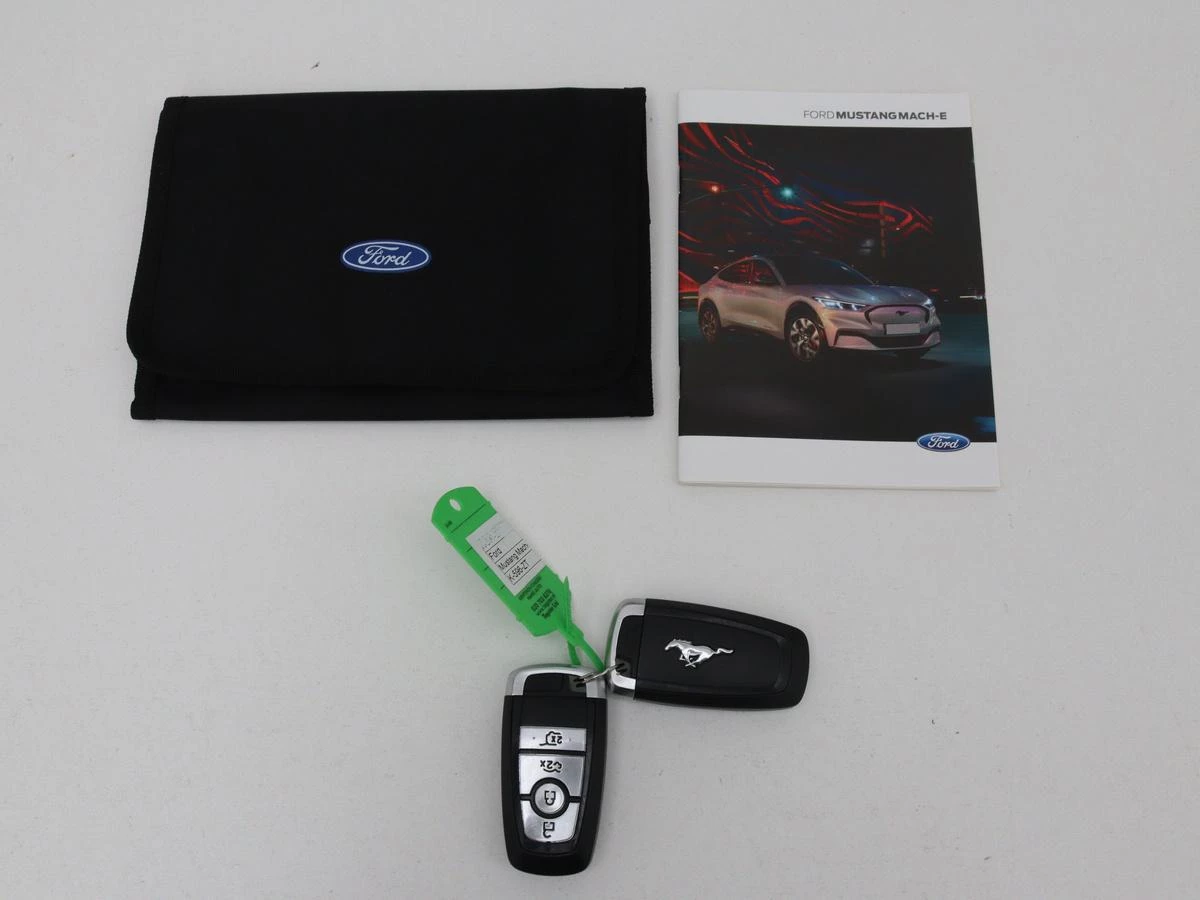 Hoofdafbeelding Ford Mustang Mach-E