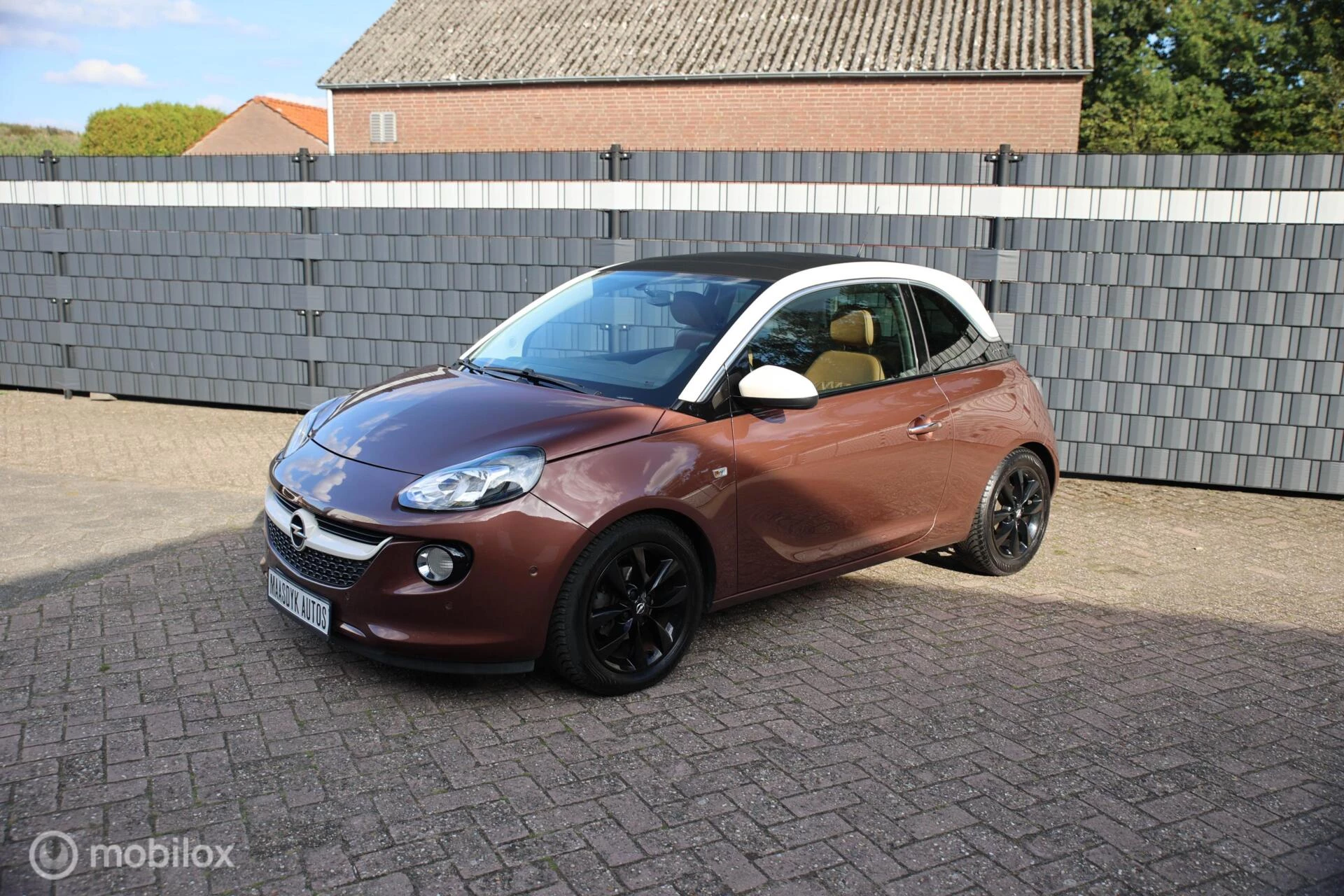 Hoofdafbeelding Opel ADAM