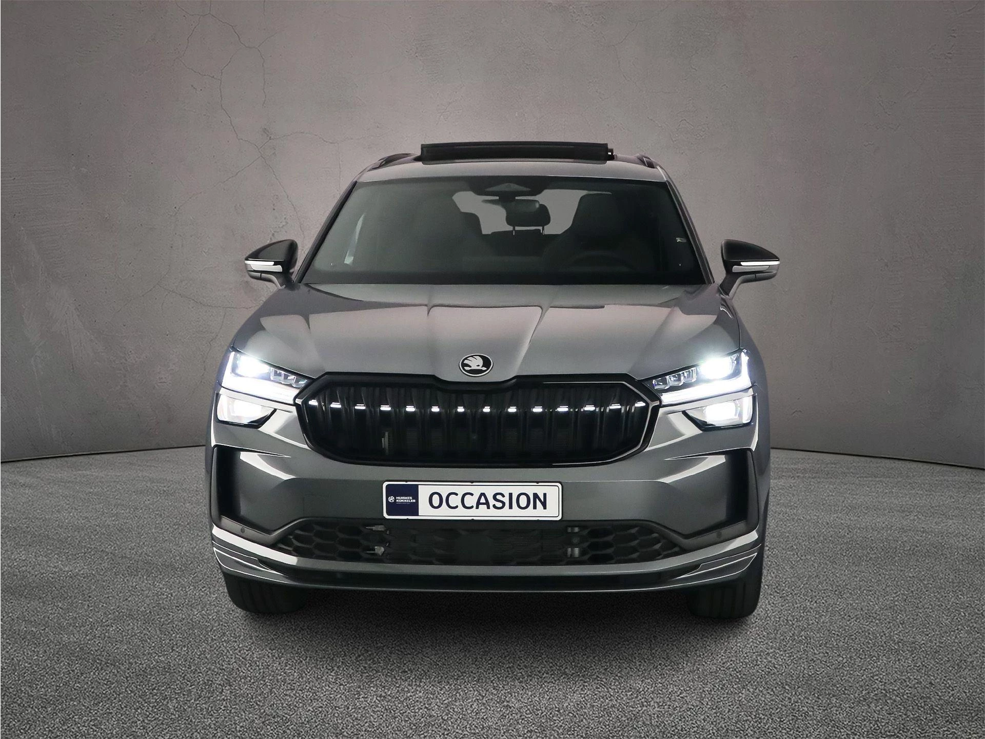 Hoofdafbeelding Škoda Kodiaq