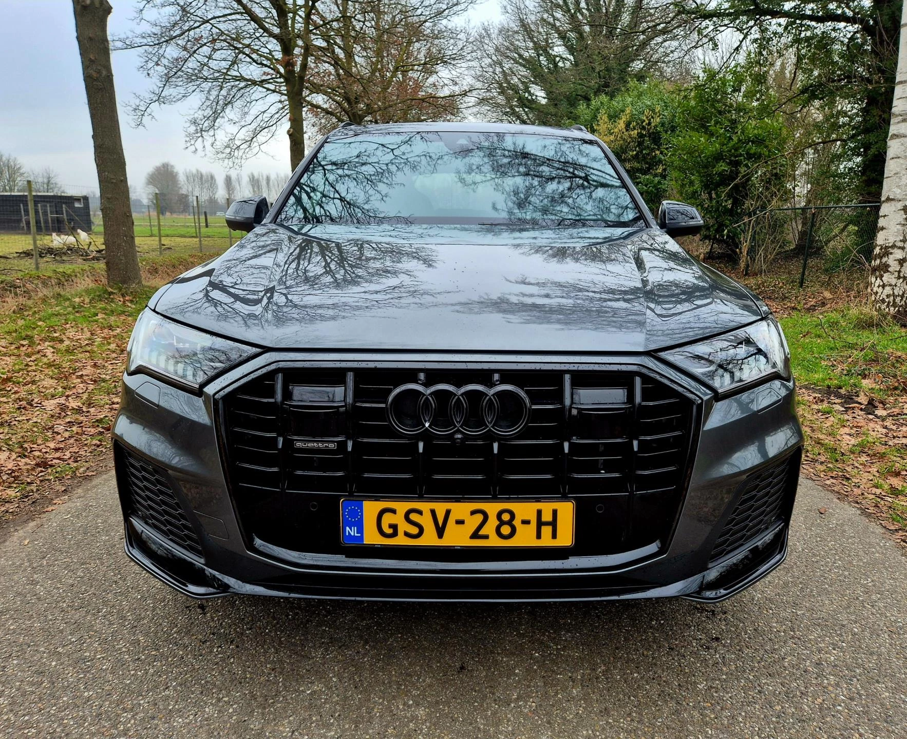 Hoofdafbeelding Audi Q7