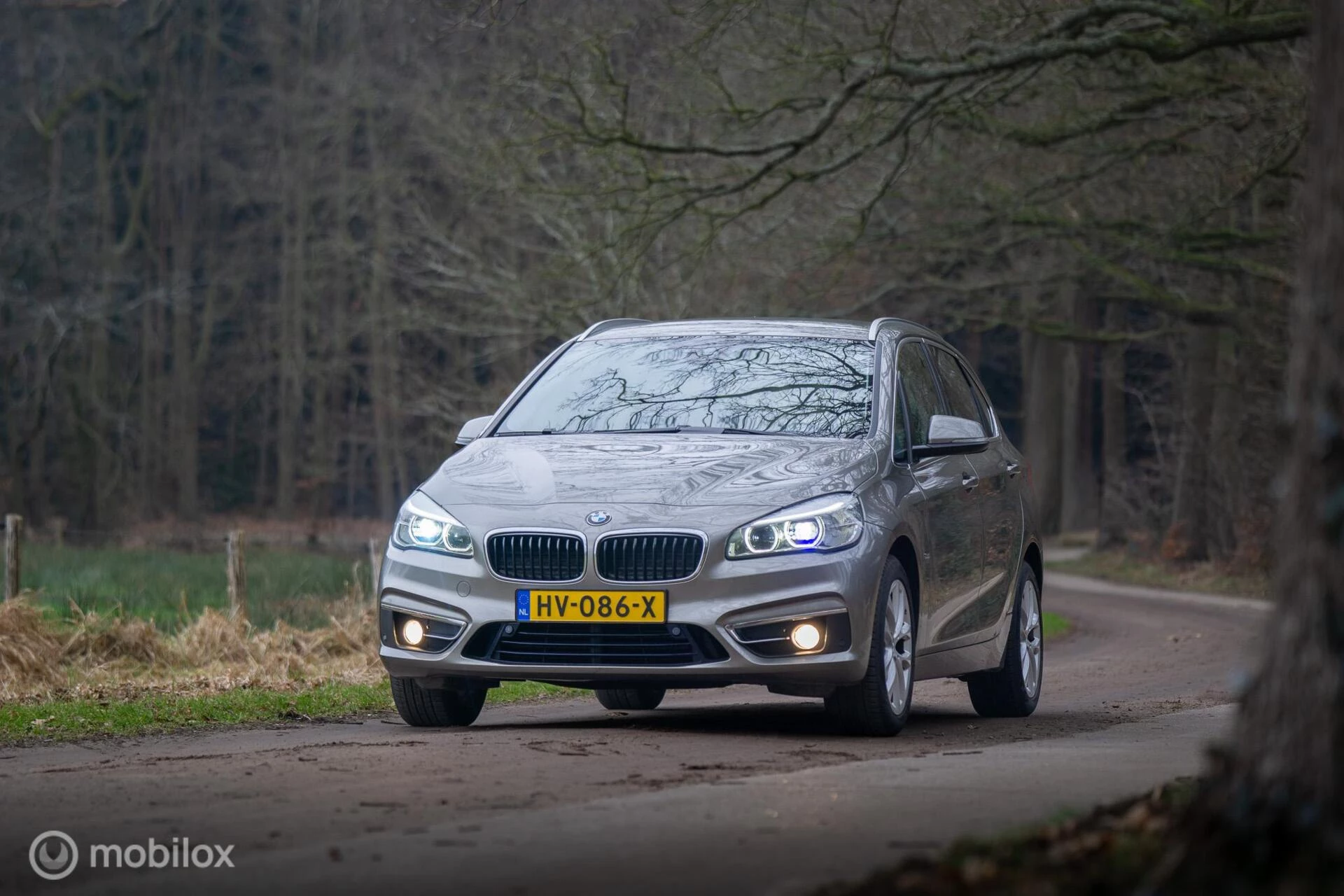 Hoofdafbeelding BMW 2 Serie