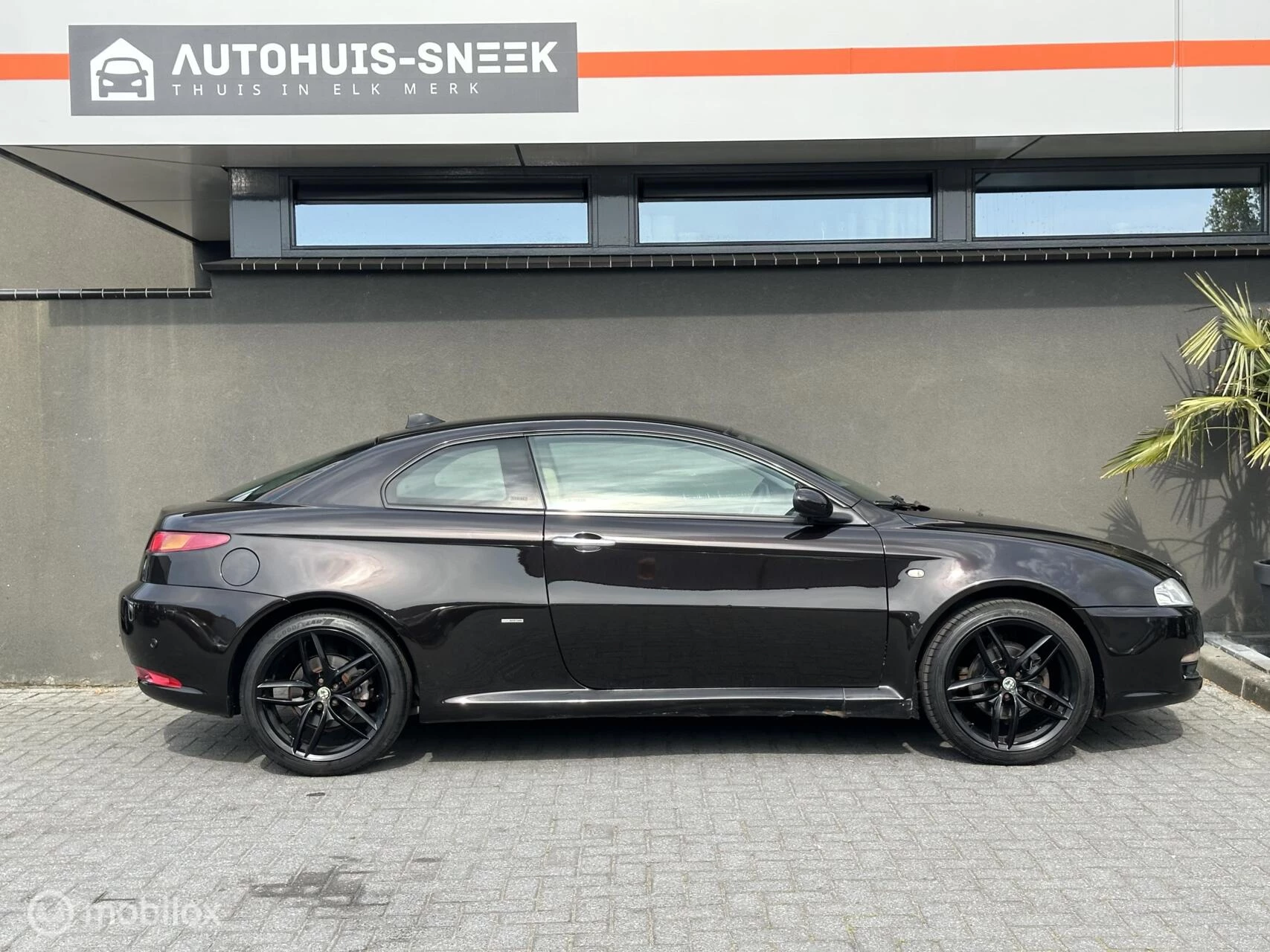 Hoofdafbeelding Alfa Romeo GT