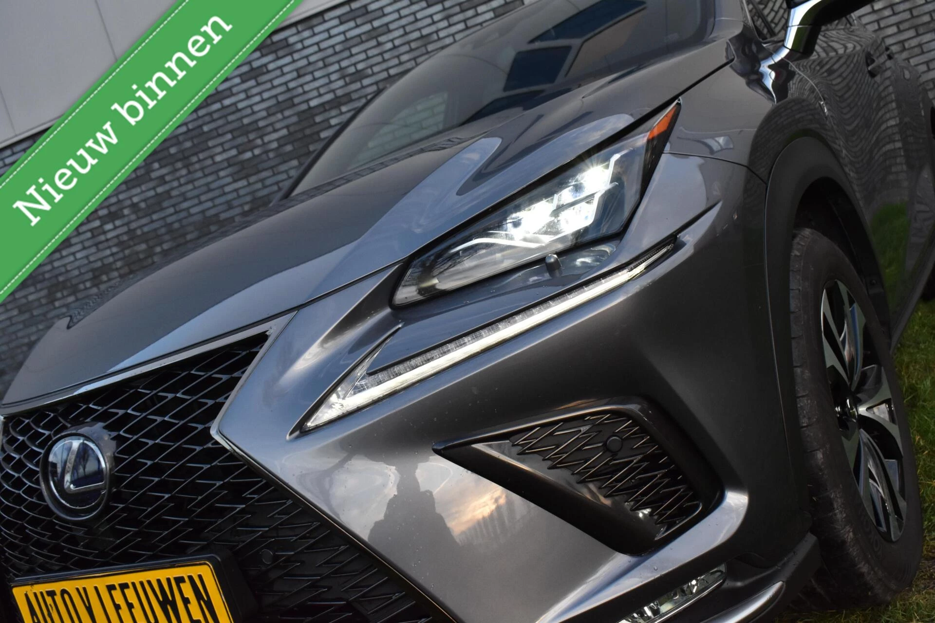 Hoofdafbeelding Lexus NX