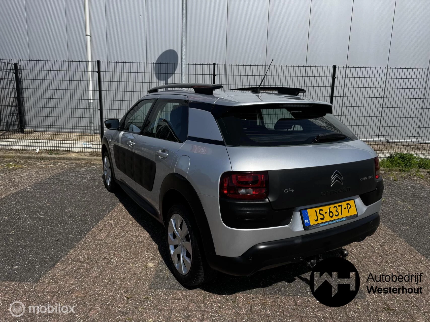 Hoofdafbeelding Citroën C4 Cactus