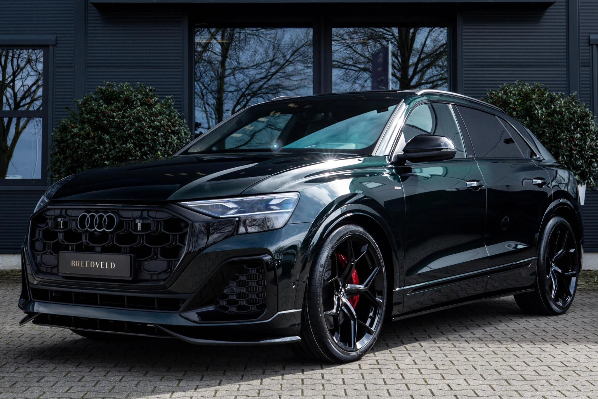 Hoofdafbeelding Audi Q8