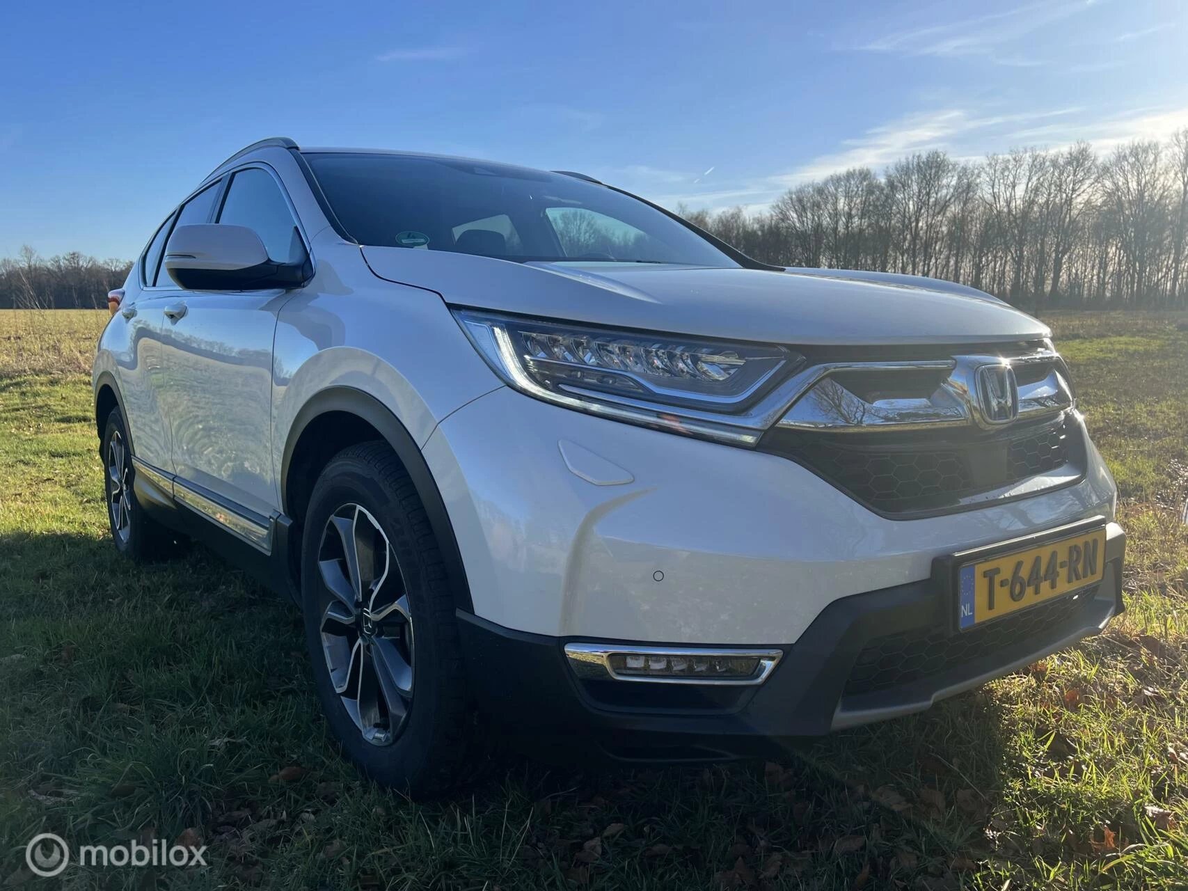 Hoofdafbeelding Honda CR-V