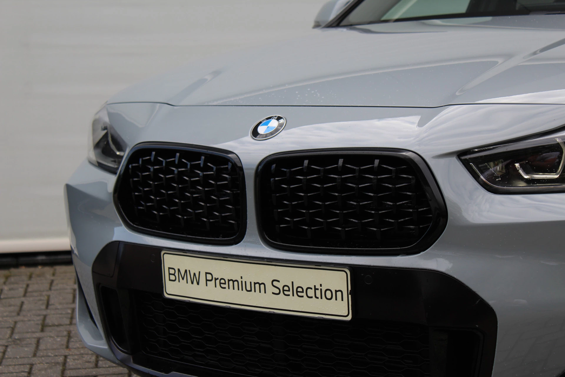 Hoofdafbeelding BMW X2