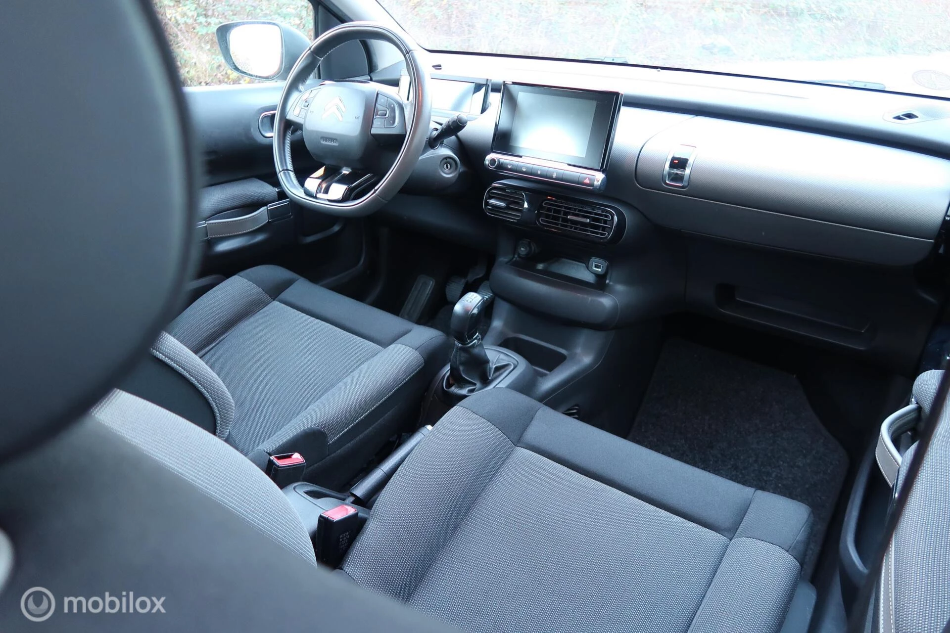 Hoofdafbeelding Citroën C4 Cactus