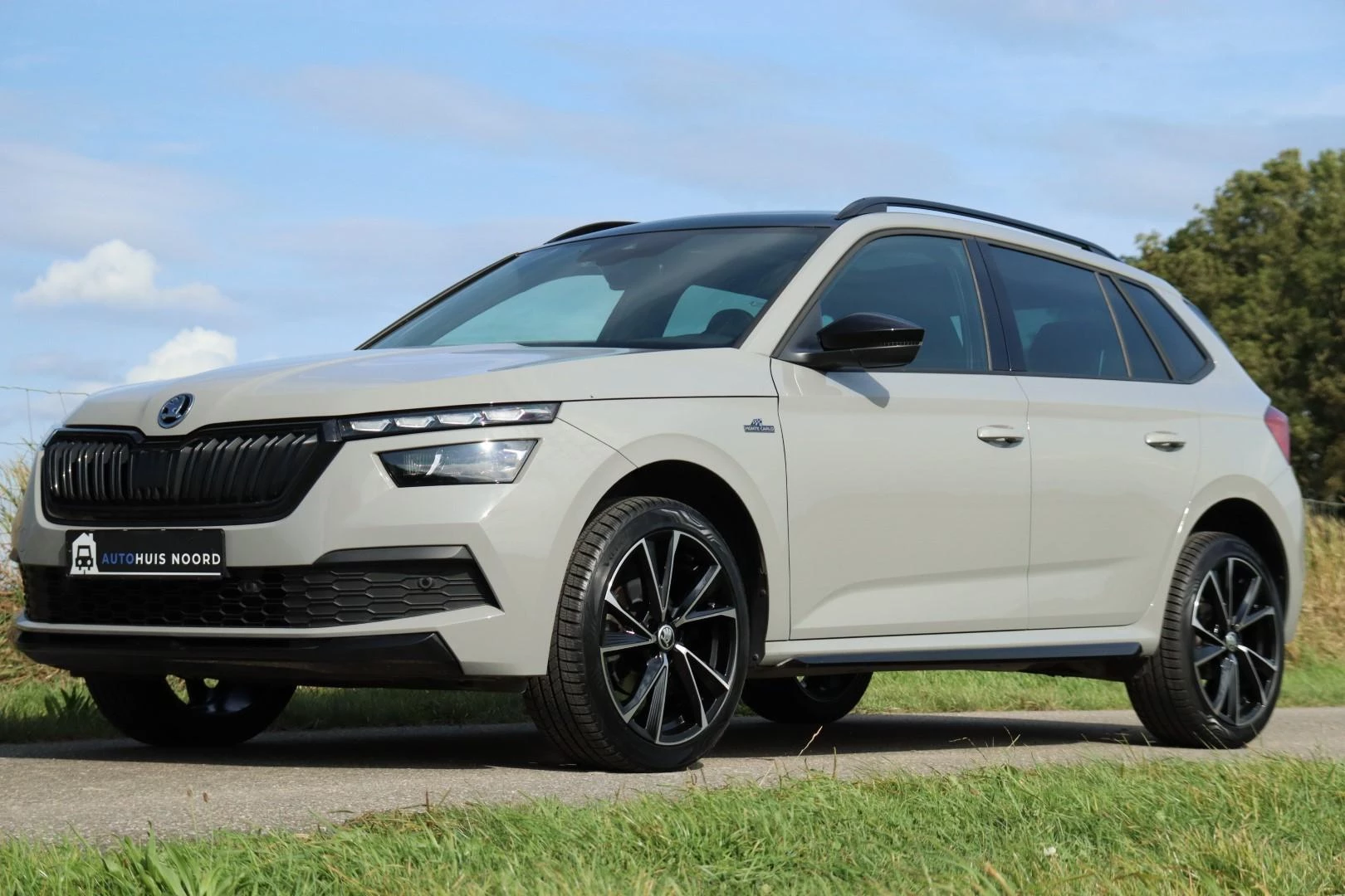 Hoofdafbeelding Škoda Kamiq