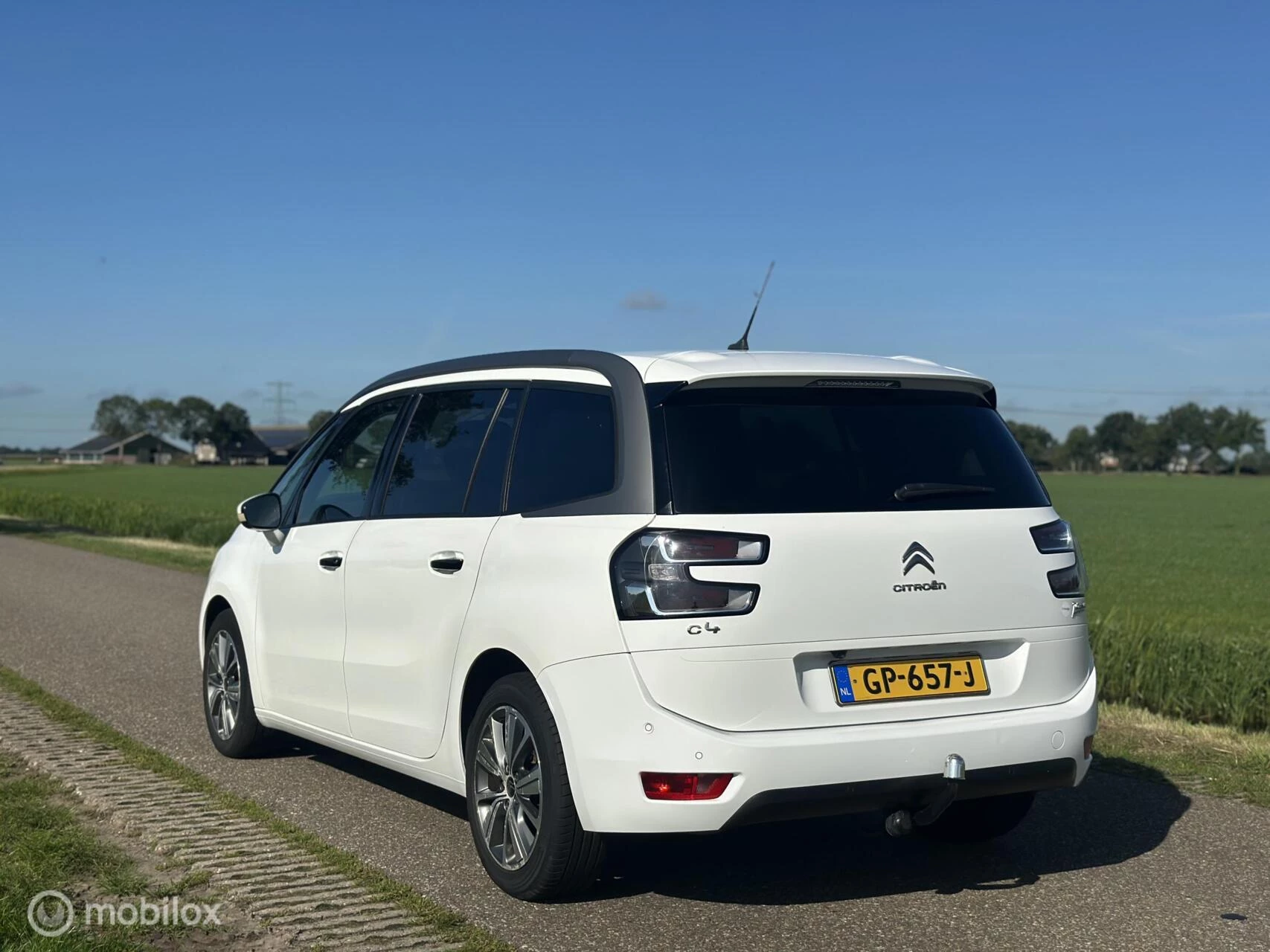 Hoofdafbeelding Citroën Grand C4 Picasso