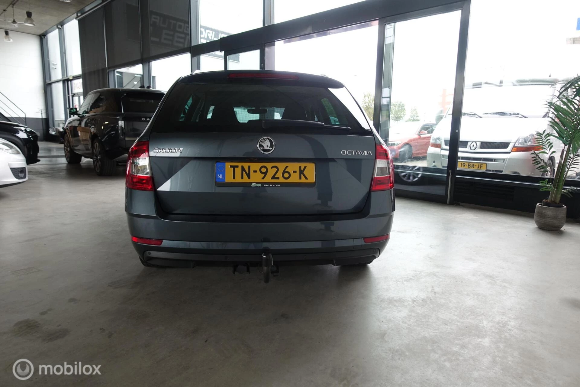 Hoofdafbeelding Škoda Octavia