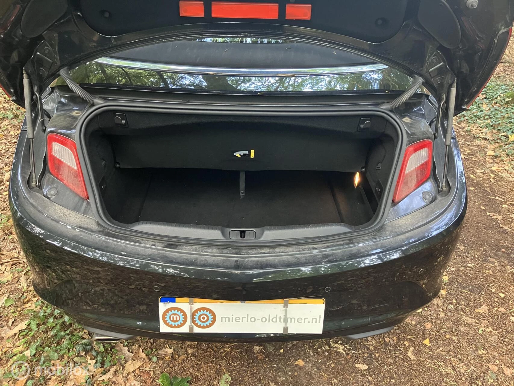Hoofdafbeelding Opel Cascada