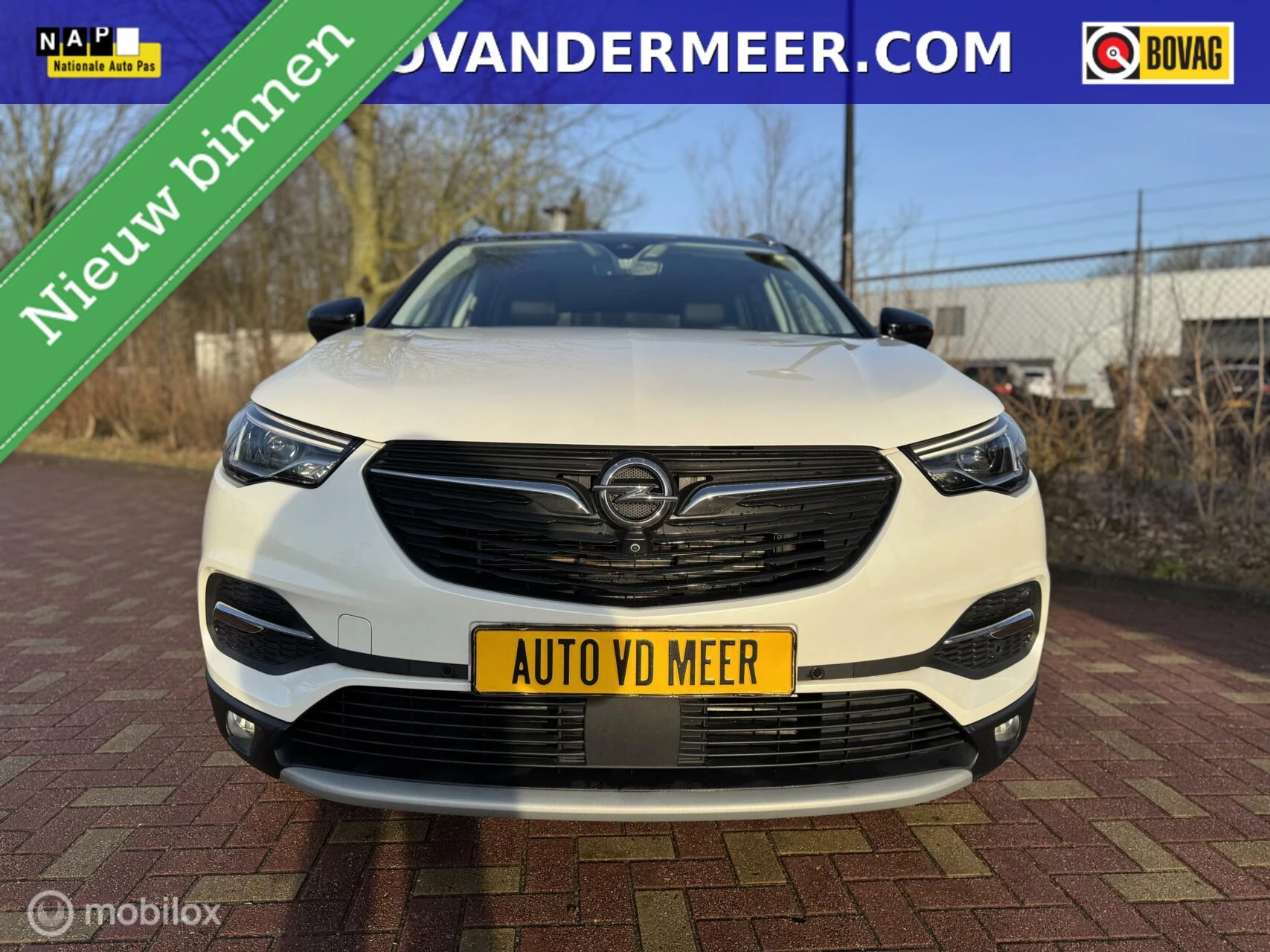 Hoofdafbeelding Opel Grandland X