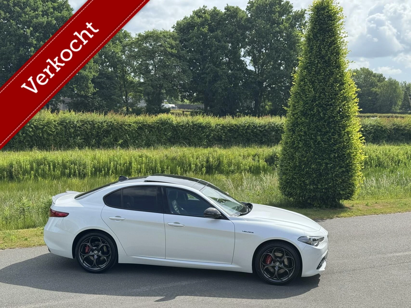 Hoofdafbeelding Alfa Romeo Giulia