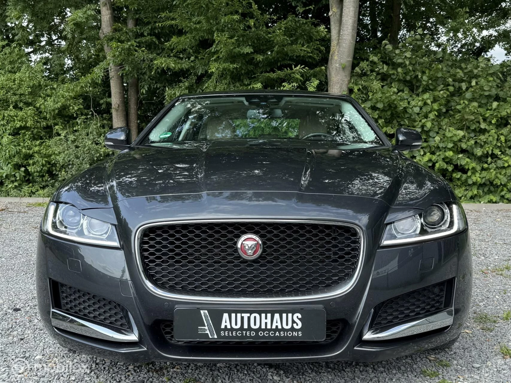 Hoofdafbeelding Jaguar XF