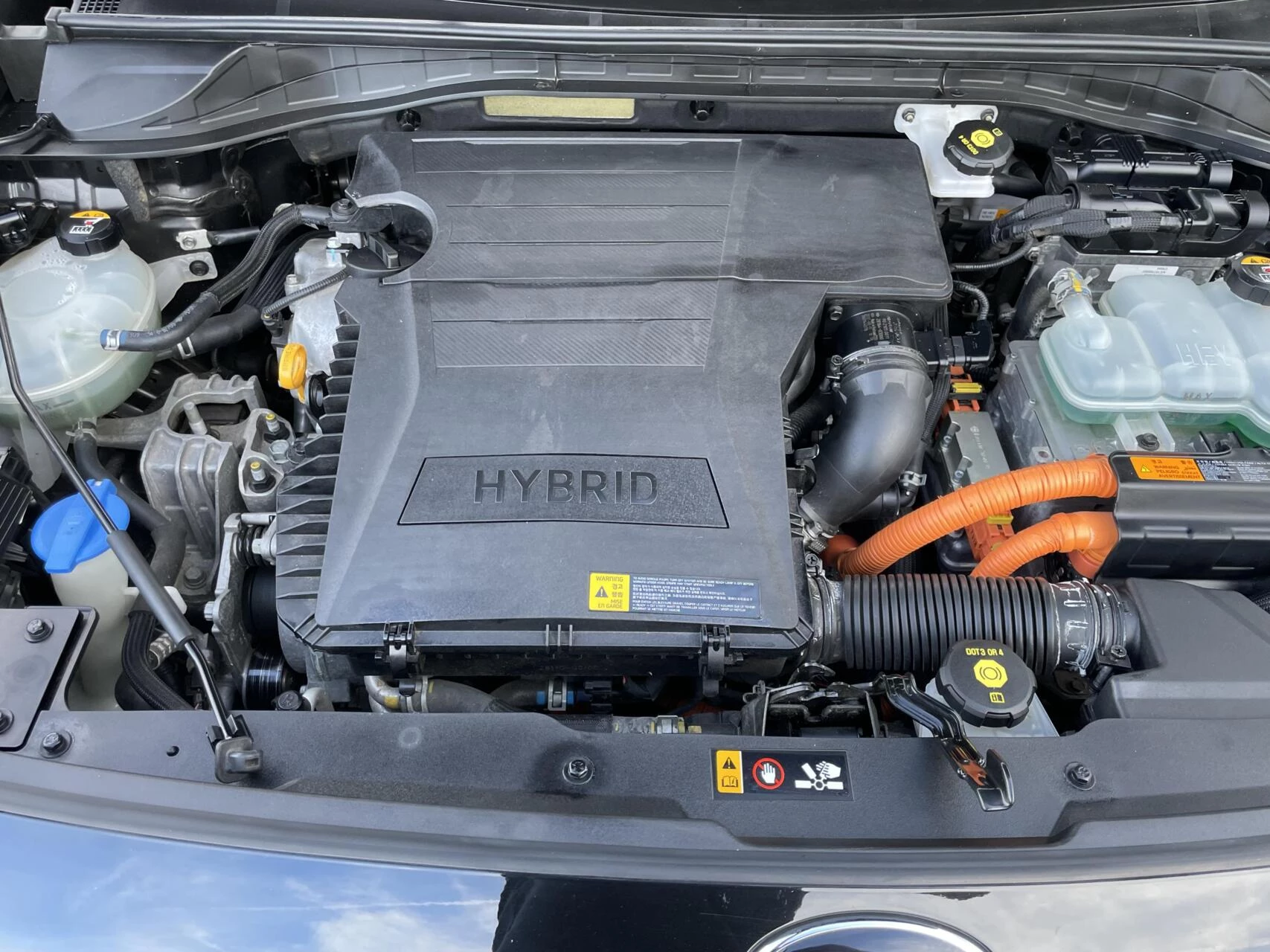 Hoofdafbeelding Kia Niro