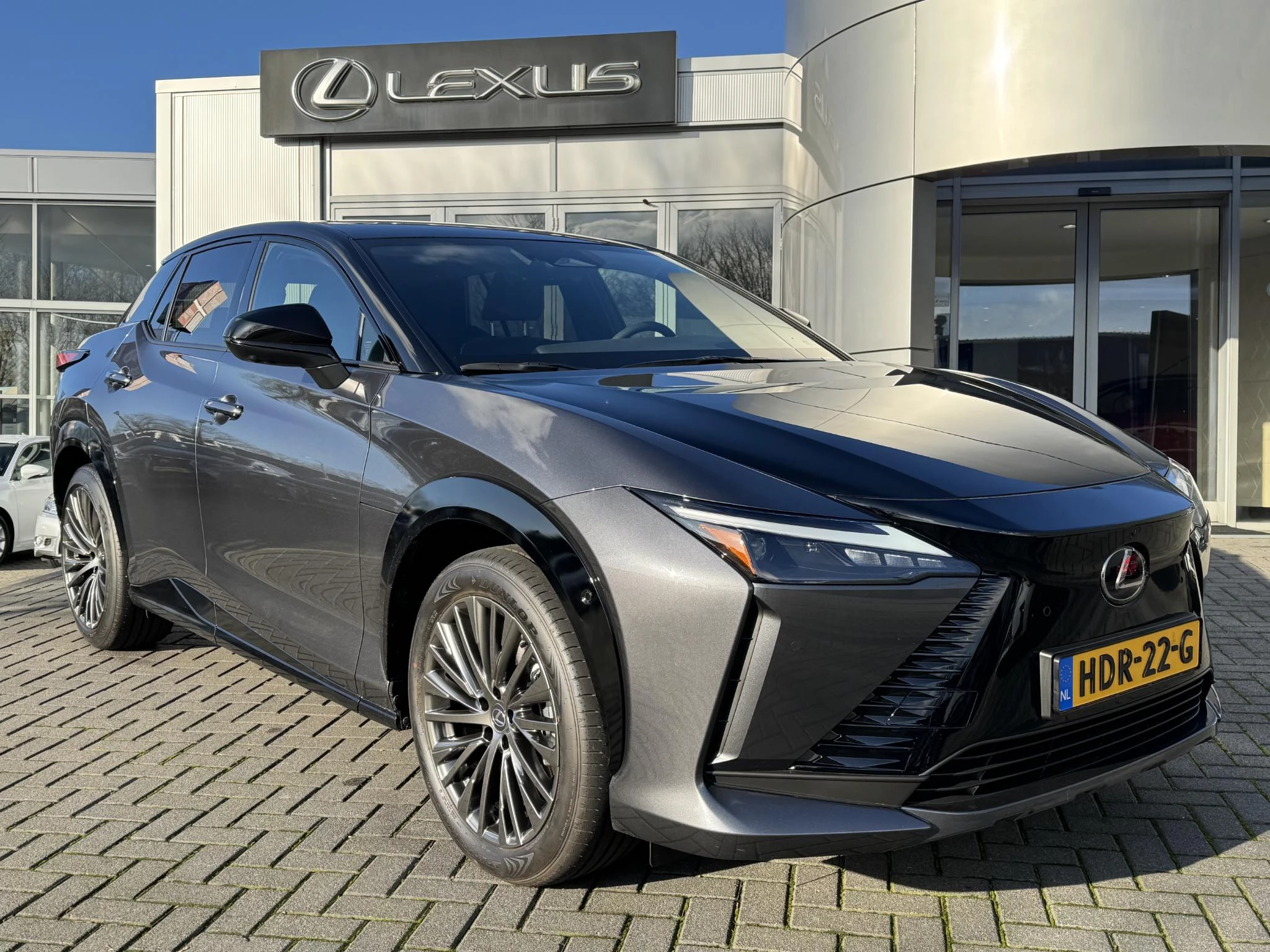 Hoofdafbeelding Lexus RZ