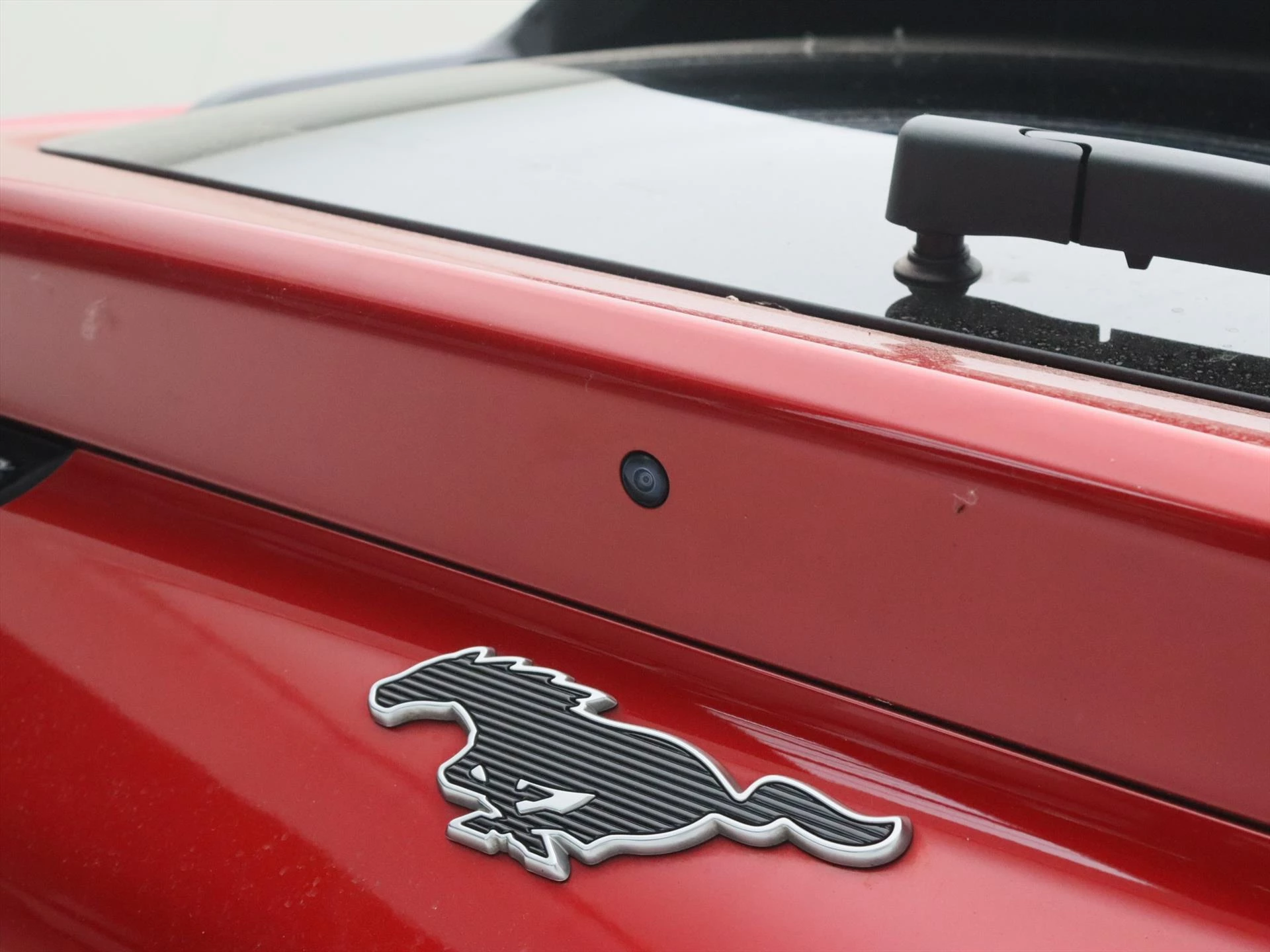 Hoofdafbeelding Ford Mustang Mach-E