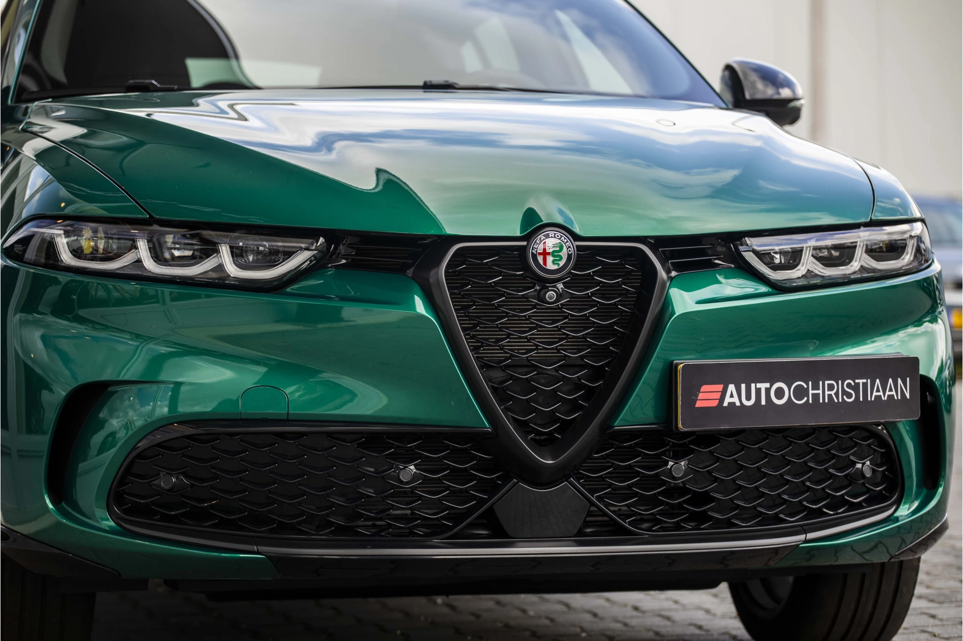 Hoofdafbeelding Alfa Romeo Tonale