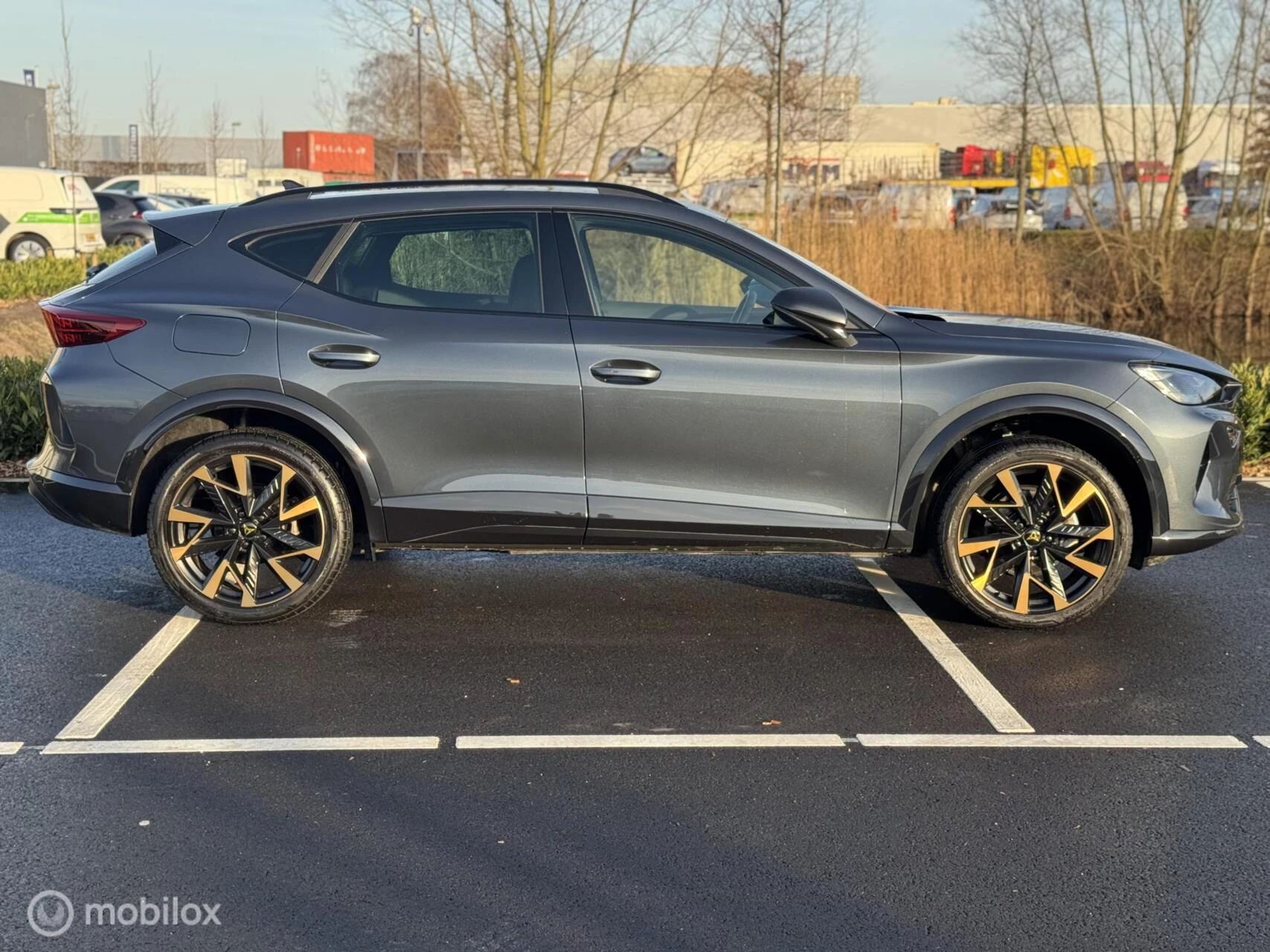 Hoofdafbeelding CUPRA Formentor