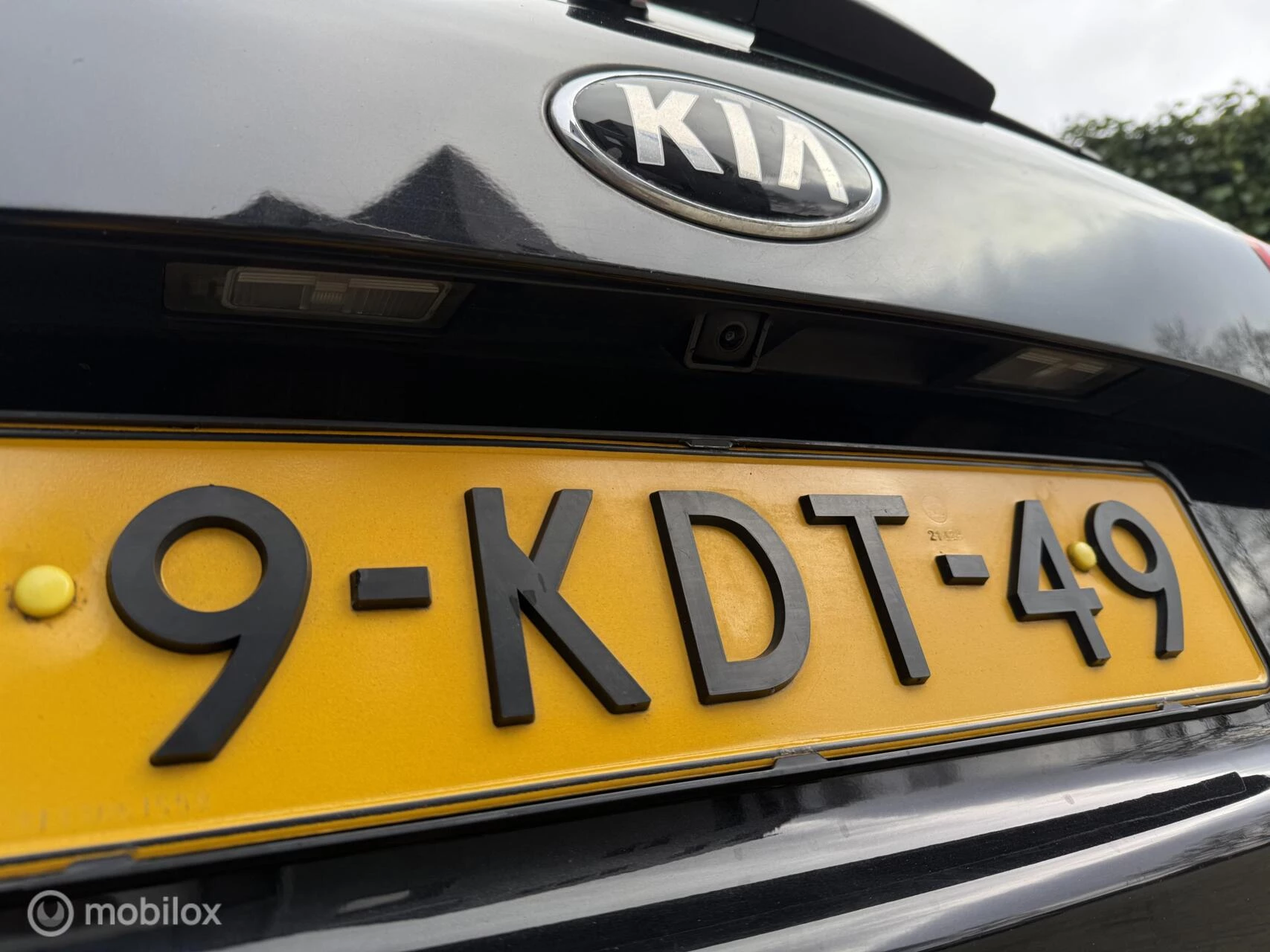 Hoofdafbeelding Kia cee'd
