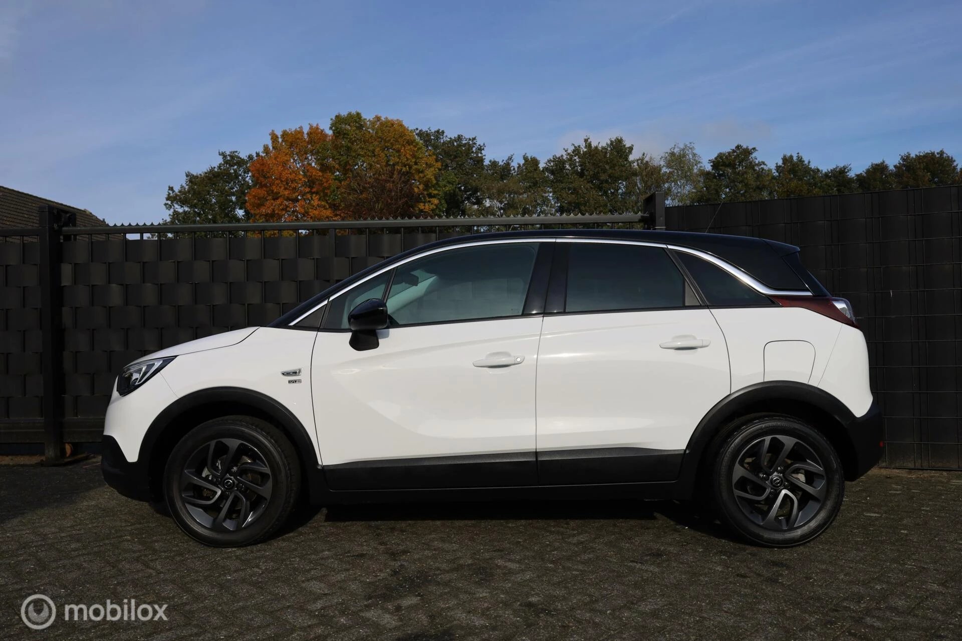 Hoofdafbeelding Opel Crossland X