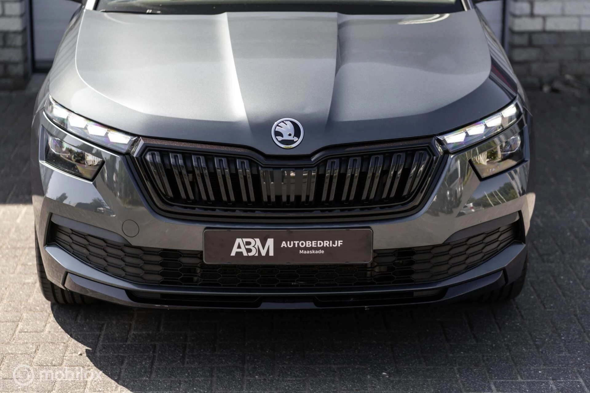 Hoofdafbeelding Škoda Kamiq
