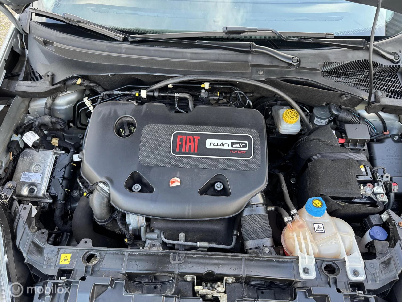 Hoofdafbeelding Fiat Punto