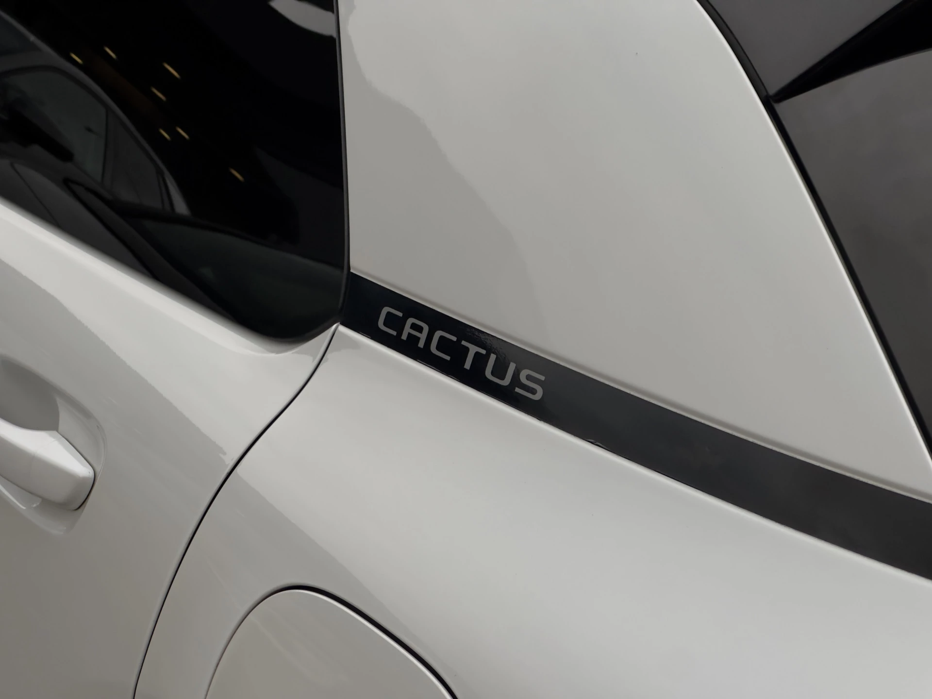 Hoofdafbeelding Citroën C4 Cactus