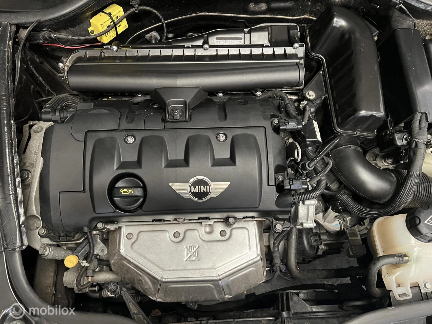 Hoofdafbeelding MINI Cooper Cabrio