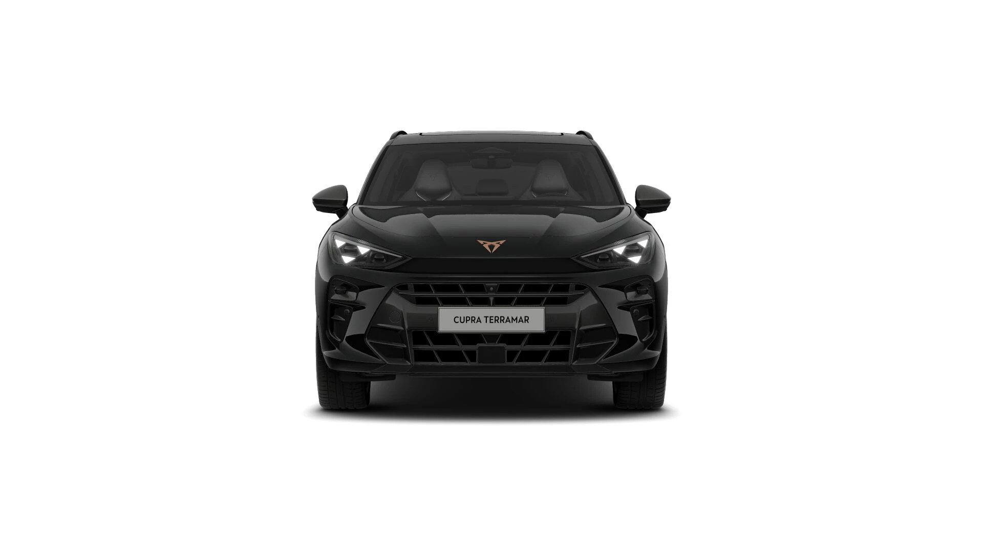 Hoofdafbeelding CUPRA Terramar