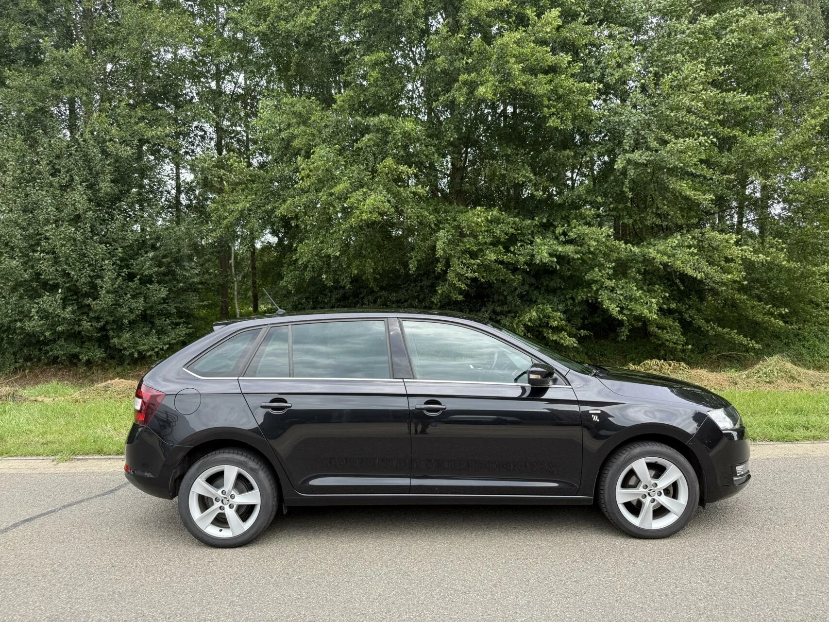 Hoofdafbeelding Škoda Rapid