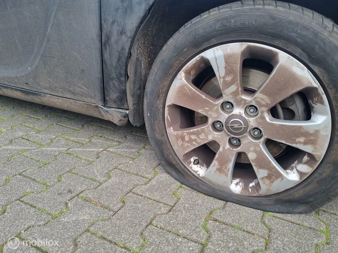 Hoofdafbeelding Opel Insignia