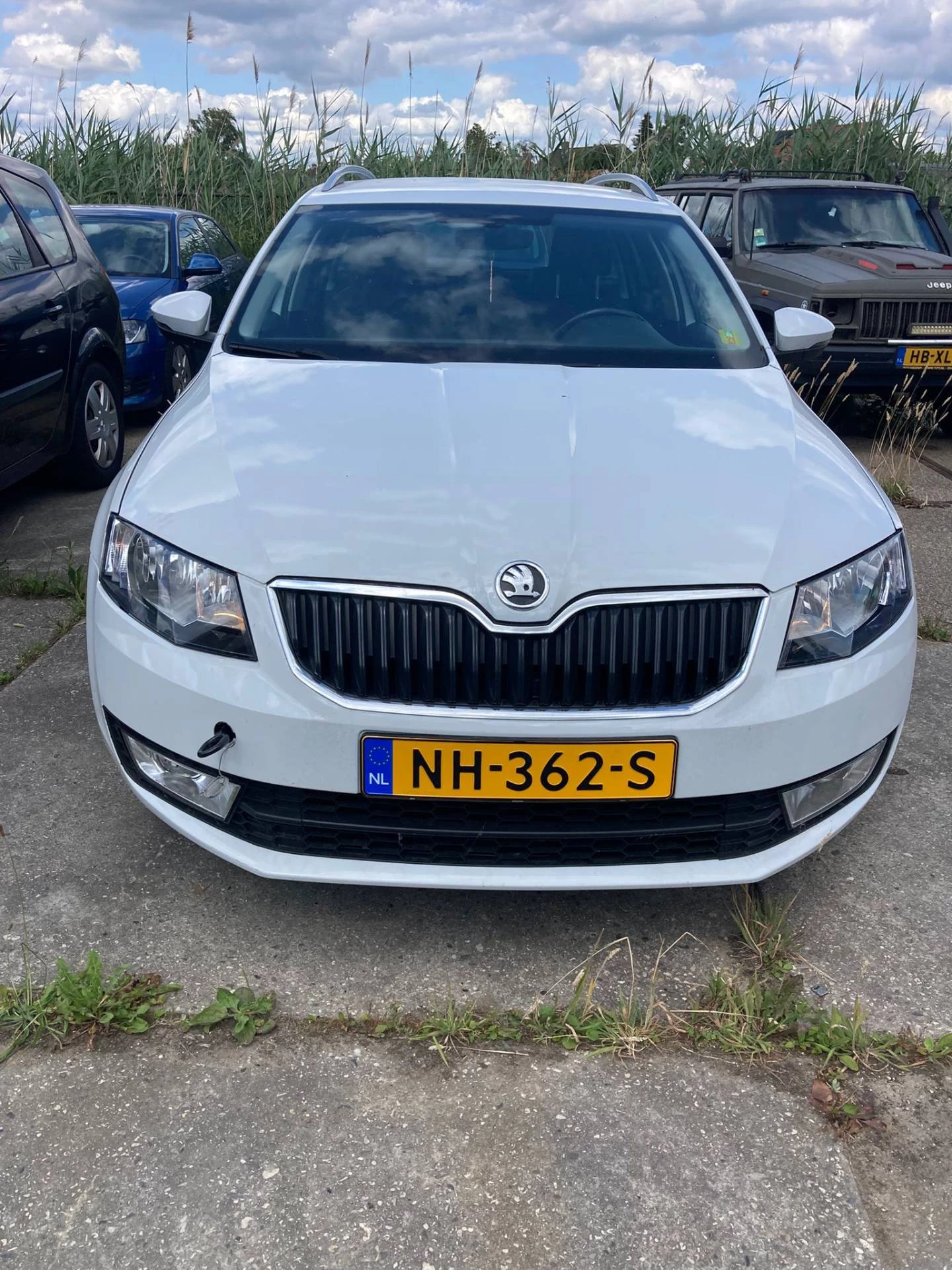Hoofdafbeelding Škoda Octavia
