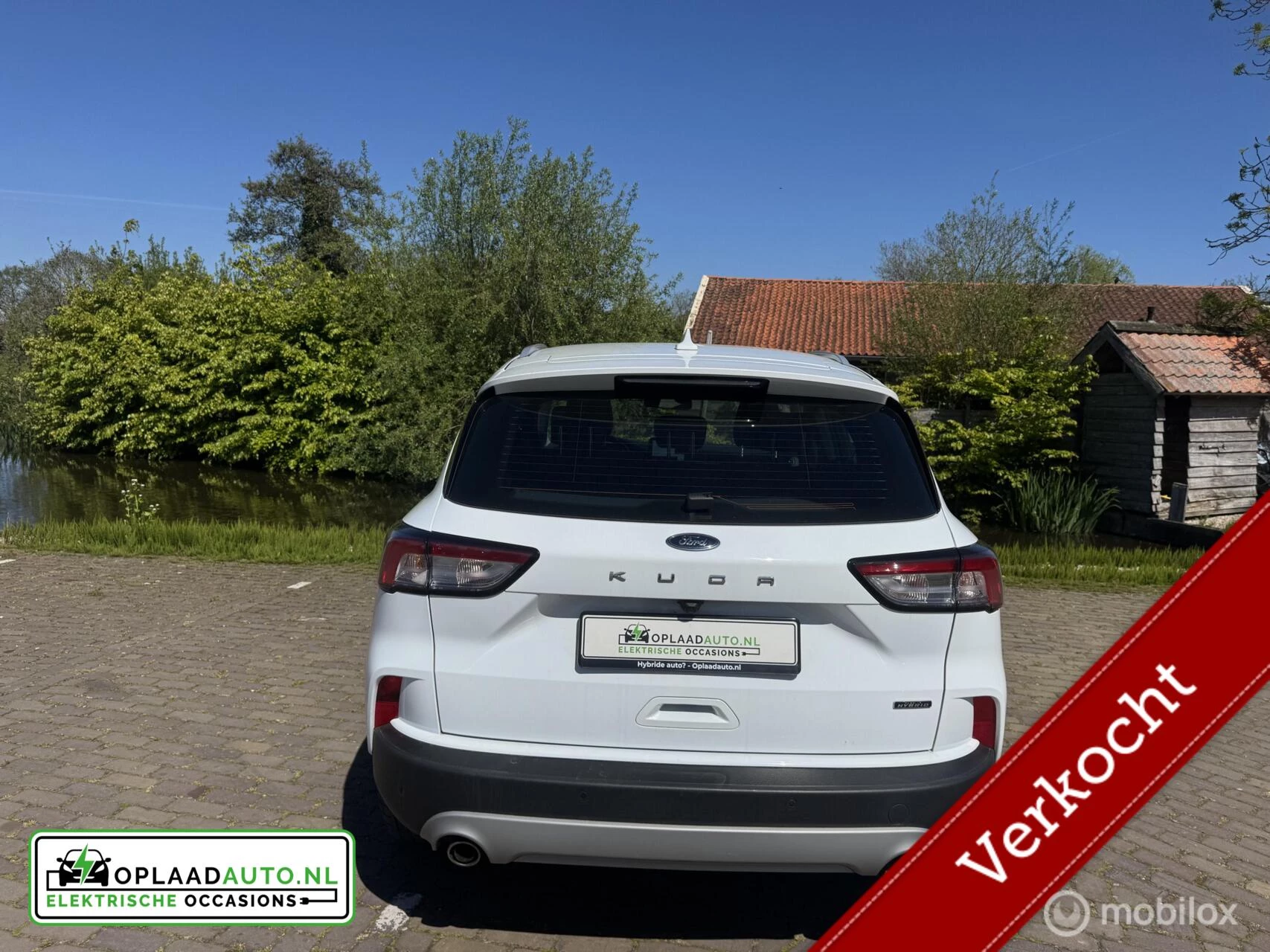 Hoofdafbeelding Ford Kuga