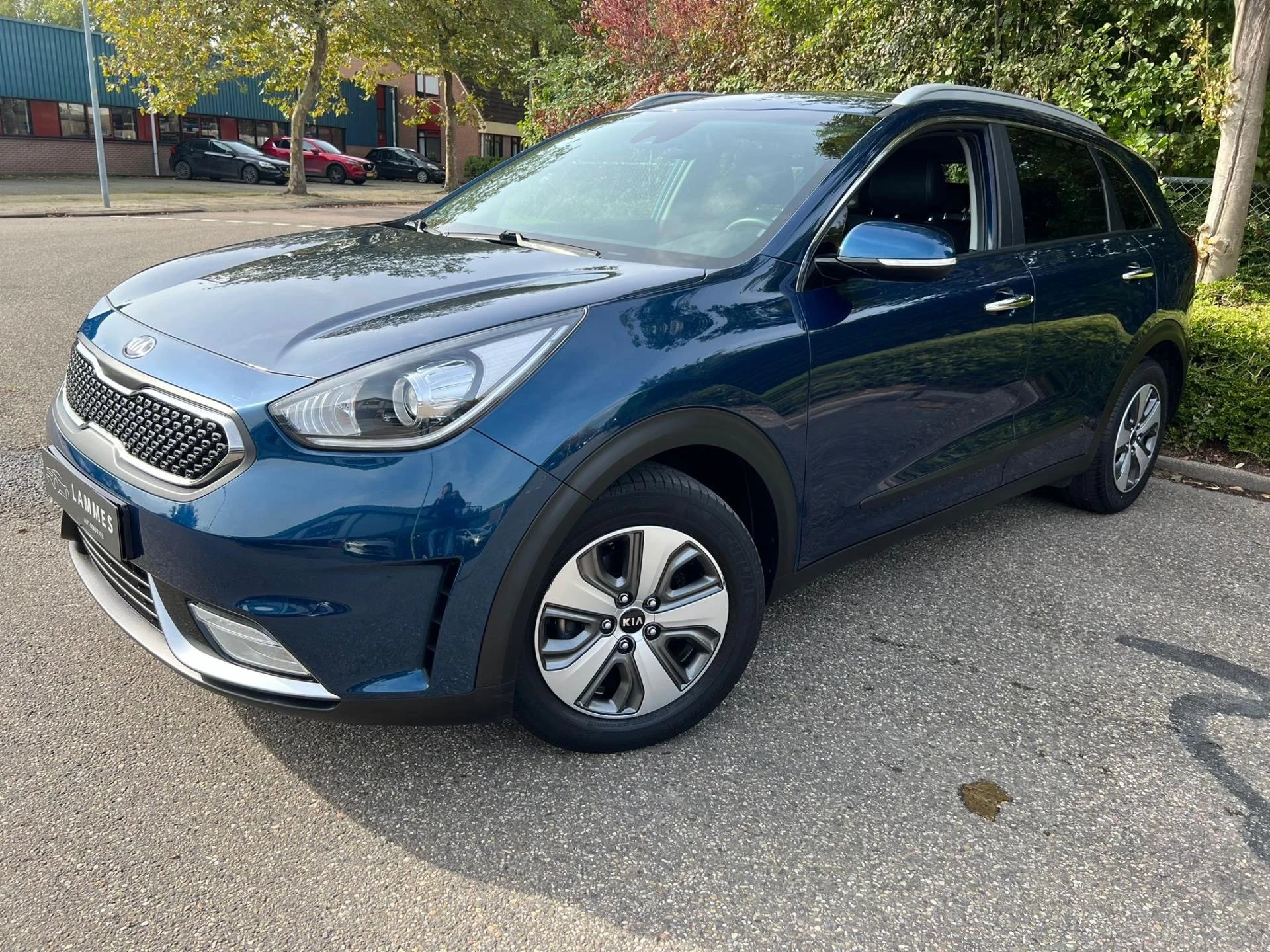 Hoofdafbeelding Kia Niro