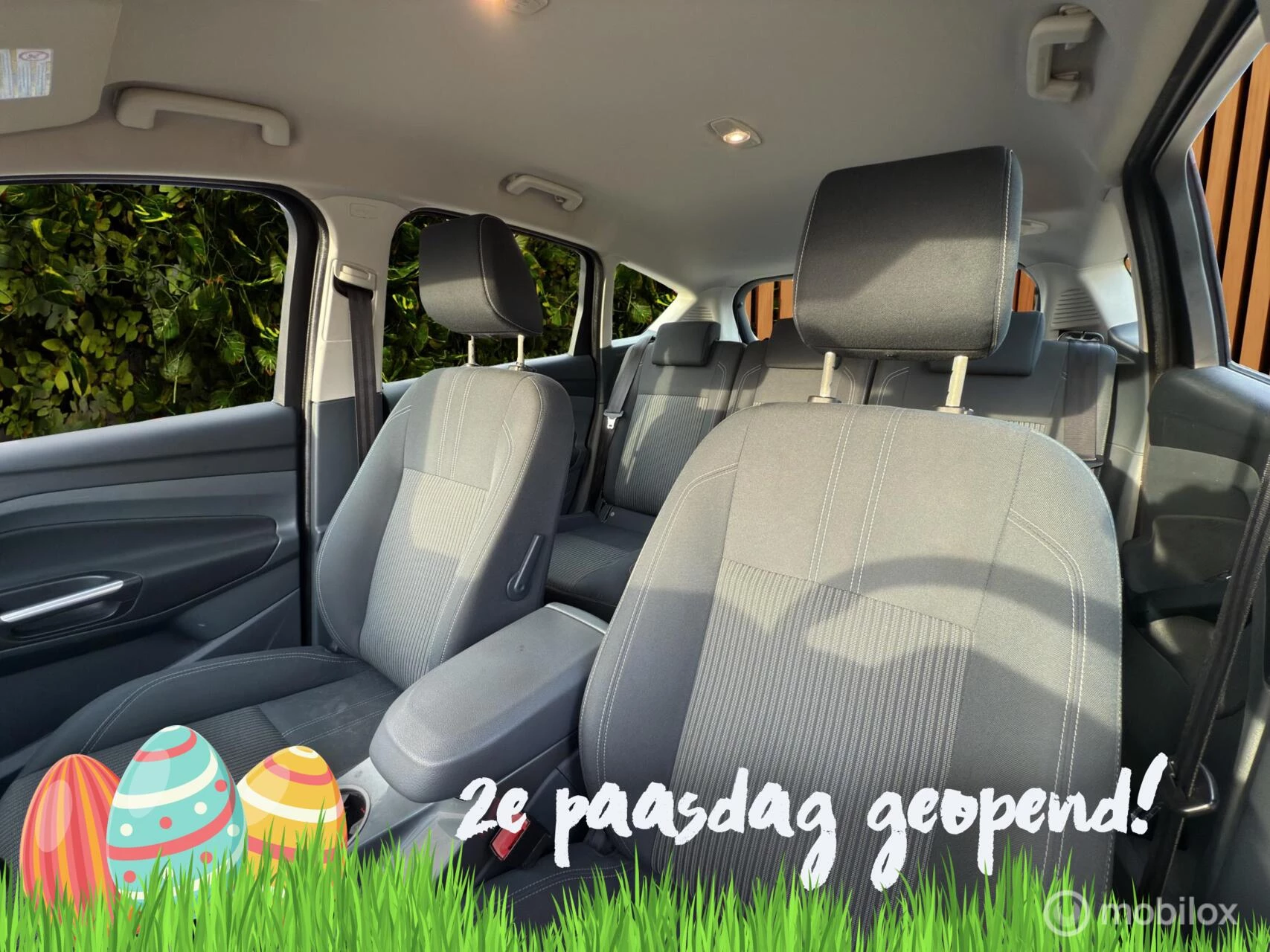 Hoofdafbeelding Ford C-MAX